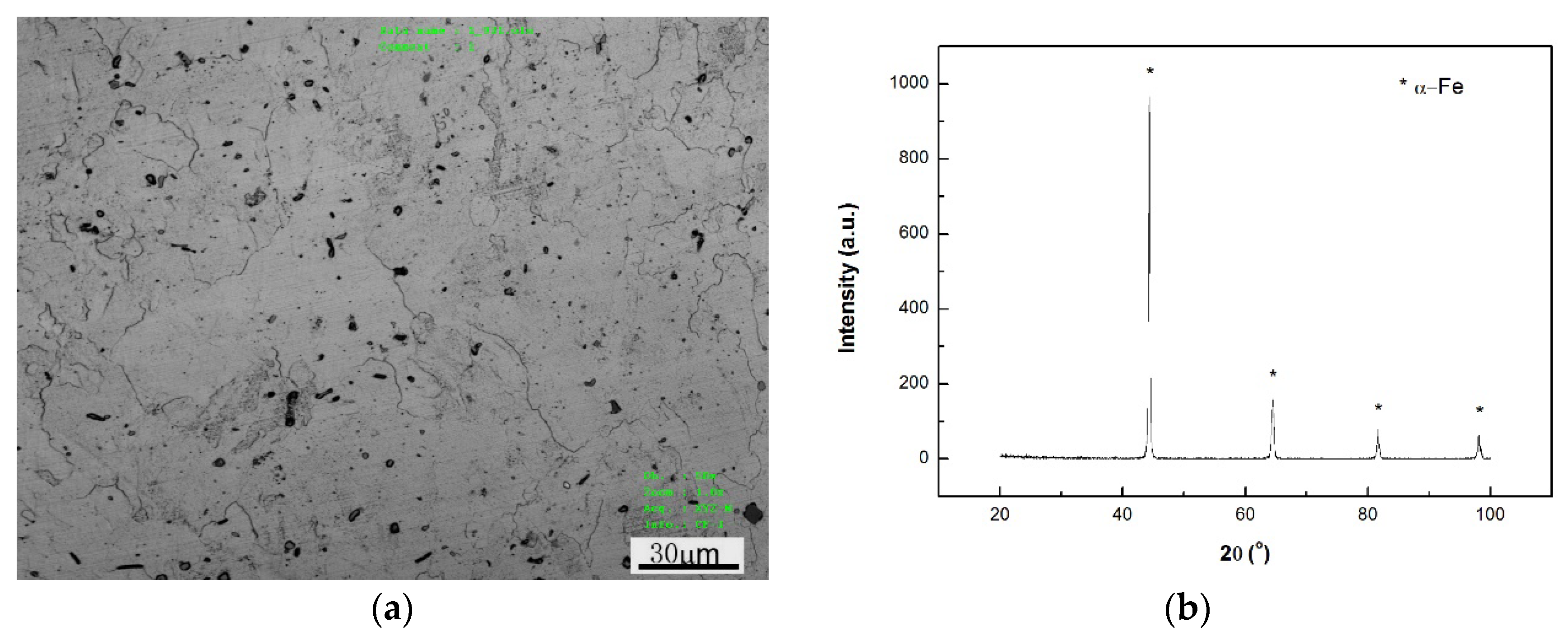 Metals 10 01032 g001