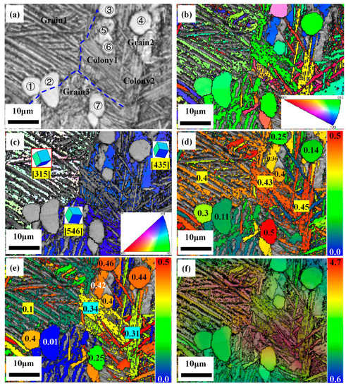 Improvement of the Crack Propagation Resistance in an α + β Titanium ...