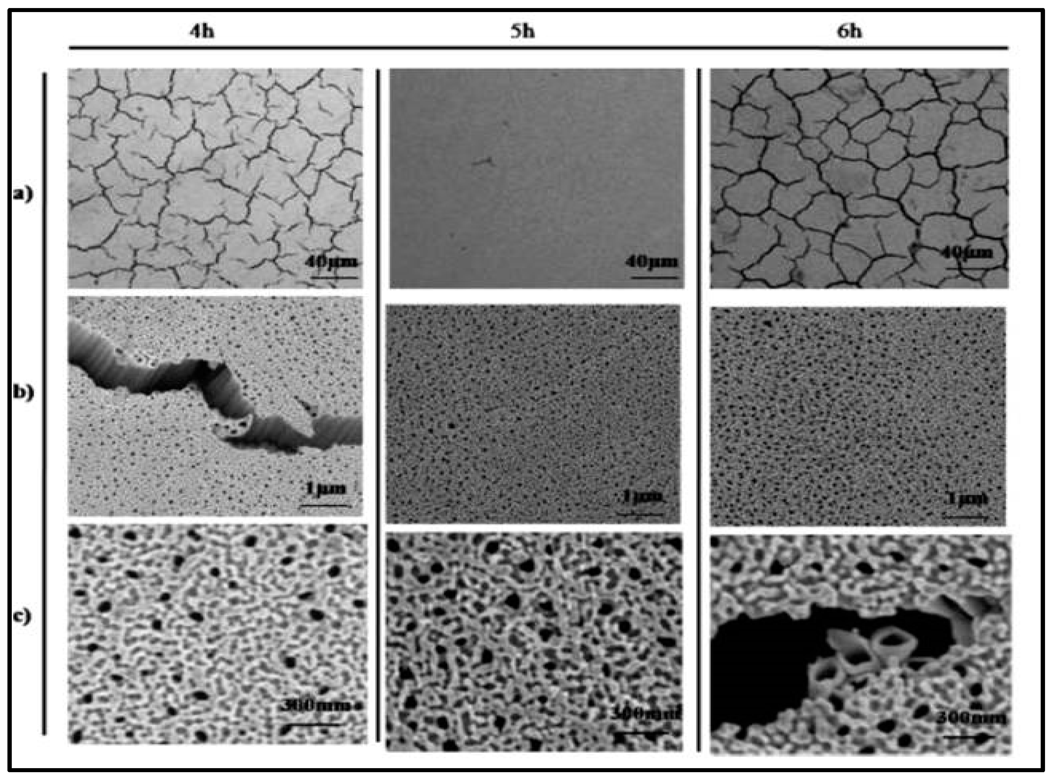 Metals 10 01059 g001