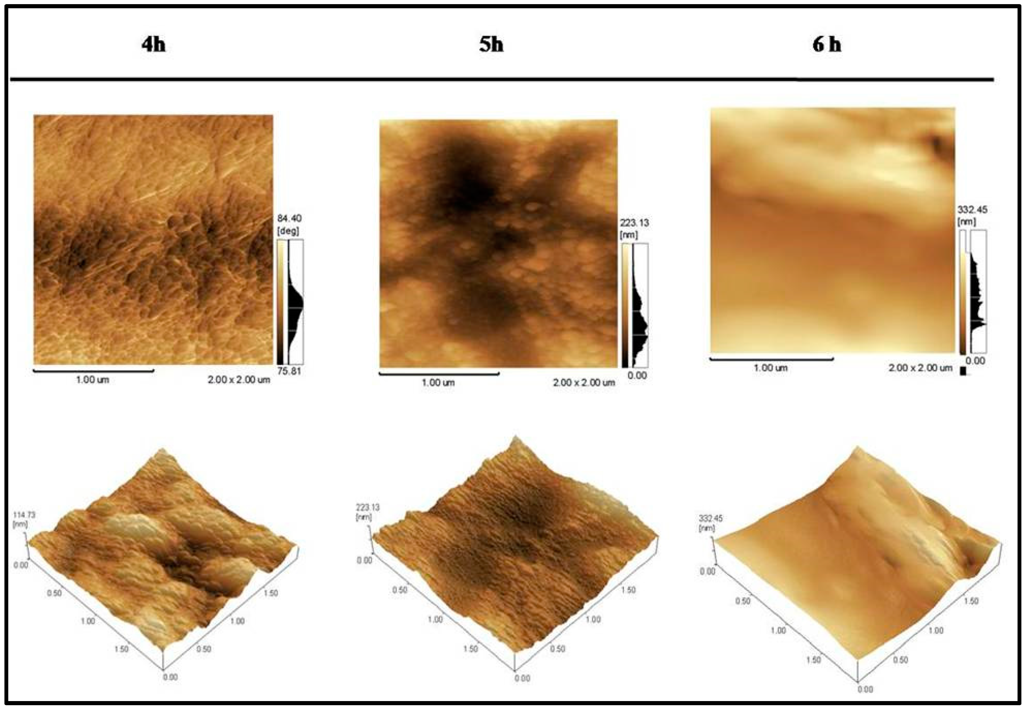 Metals 10 01059 g004