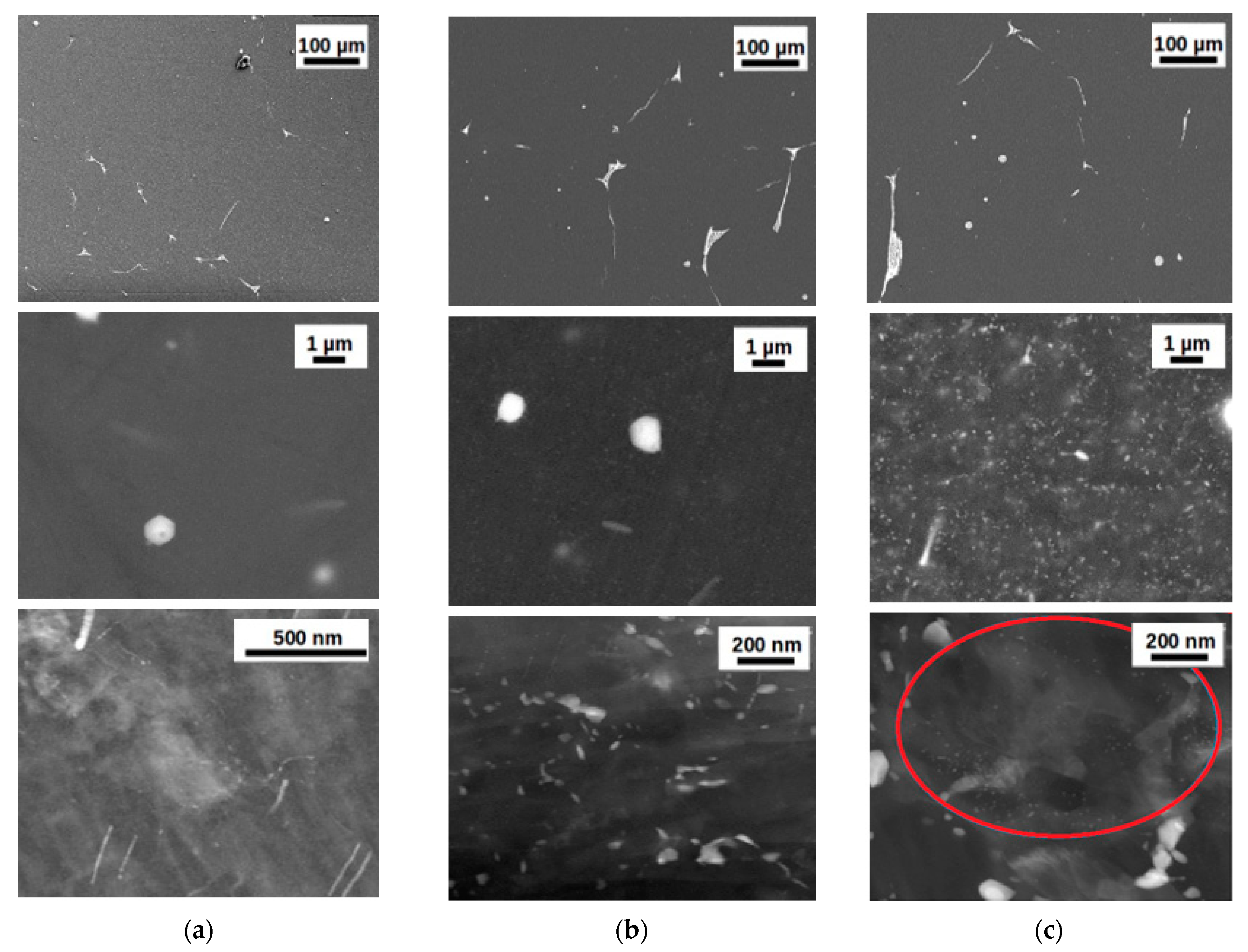 Metals 10 01064 g016