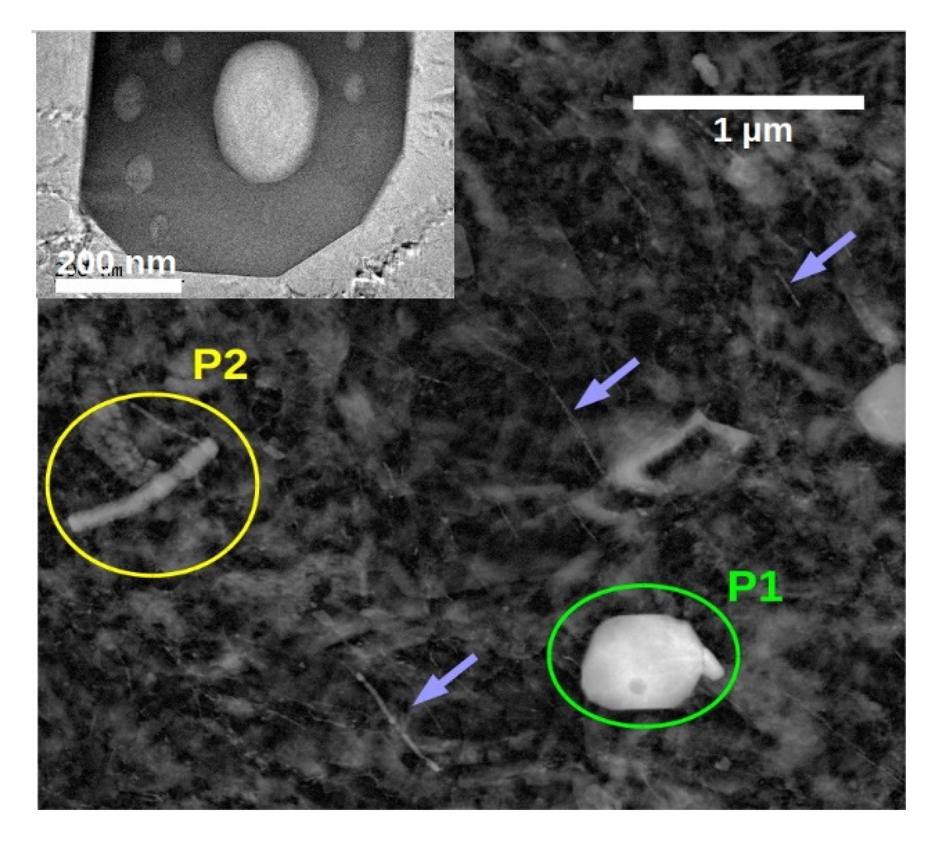 Metals 10 01064 g017