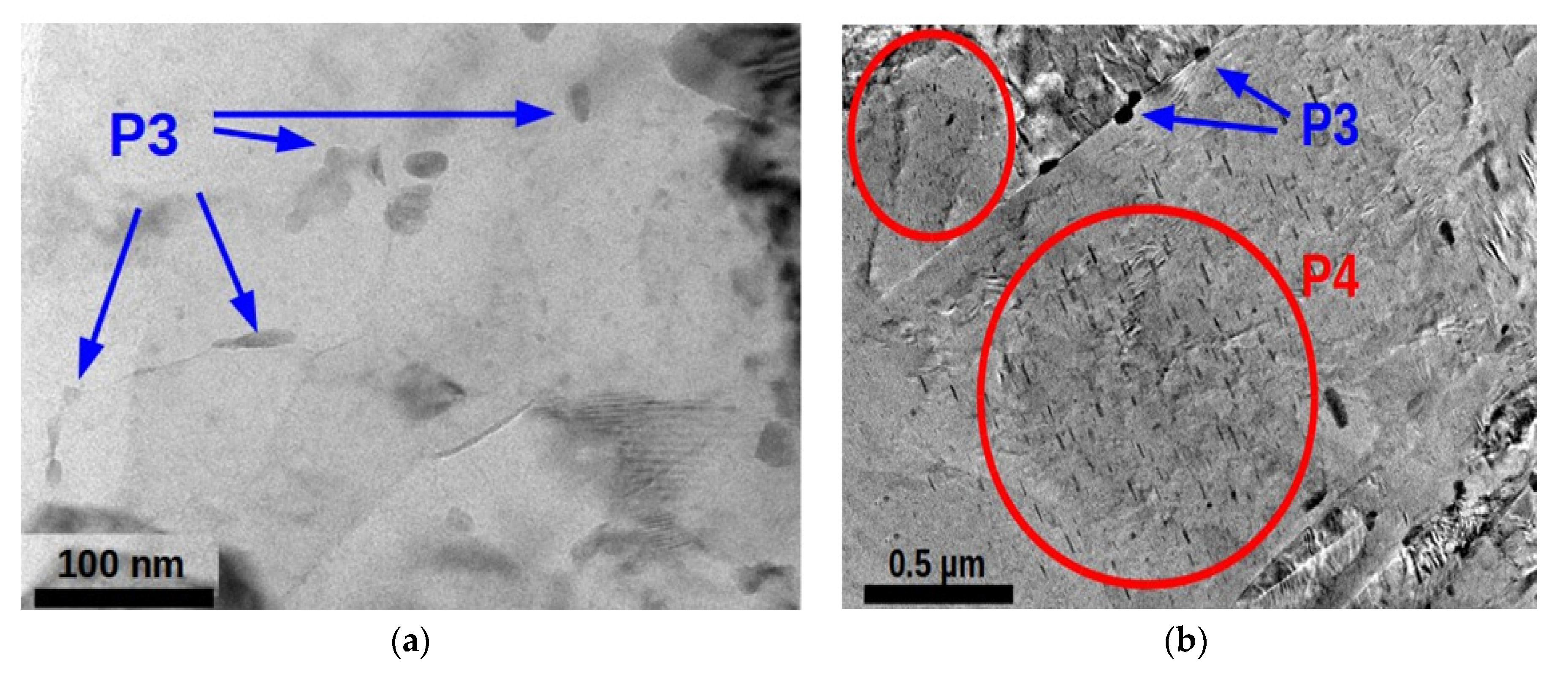 Metals 10 01064 g019