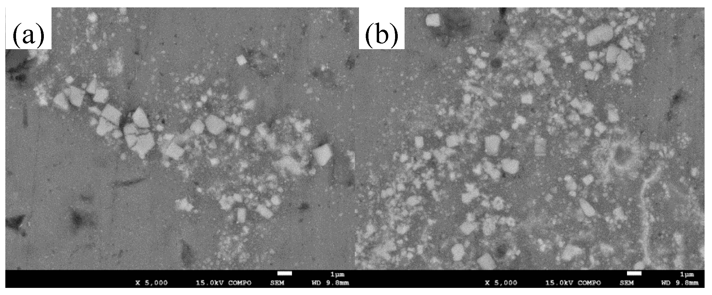 Metals 10 01068 g006