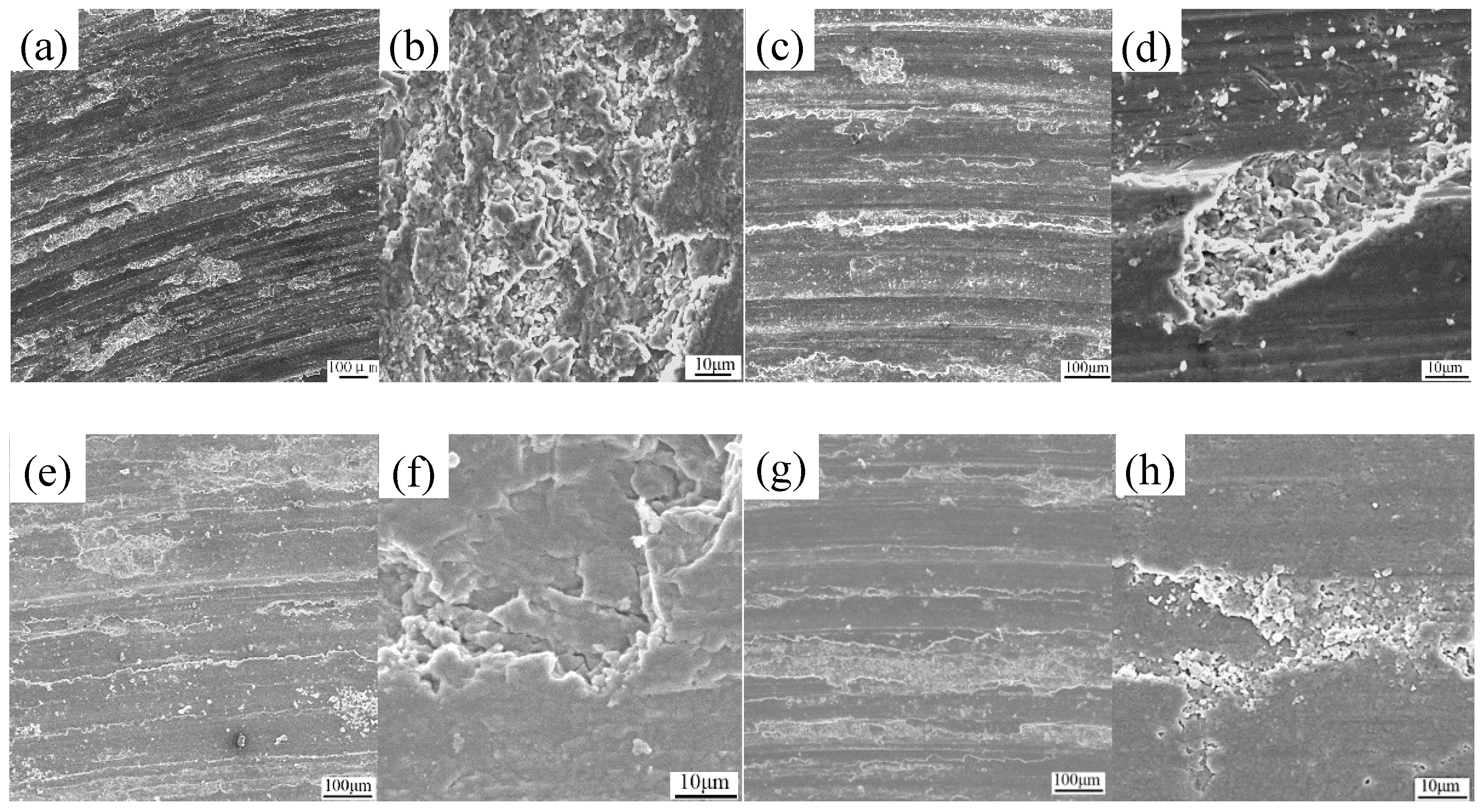 Metals 10 01068 g010