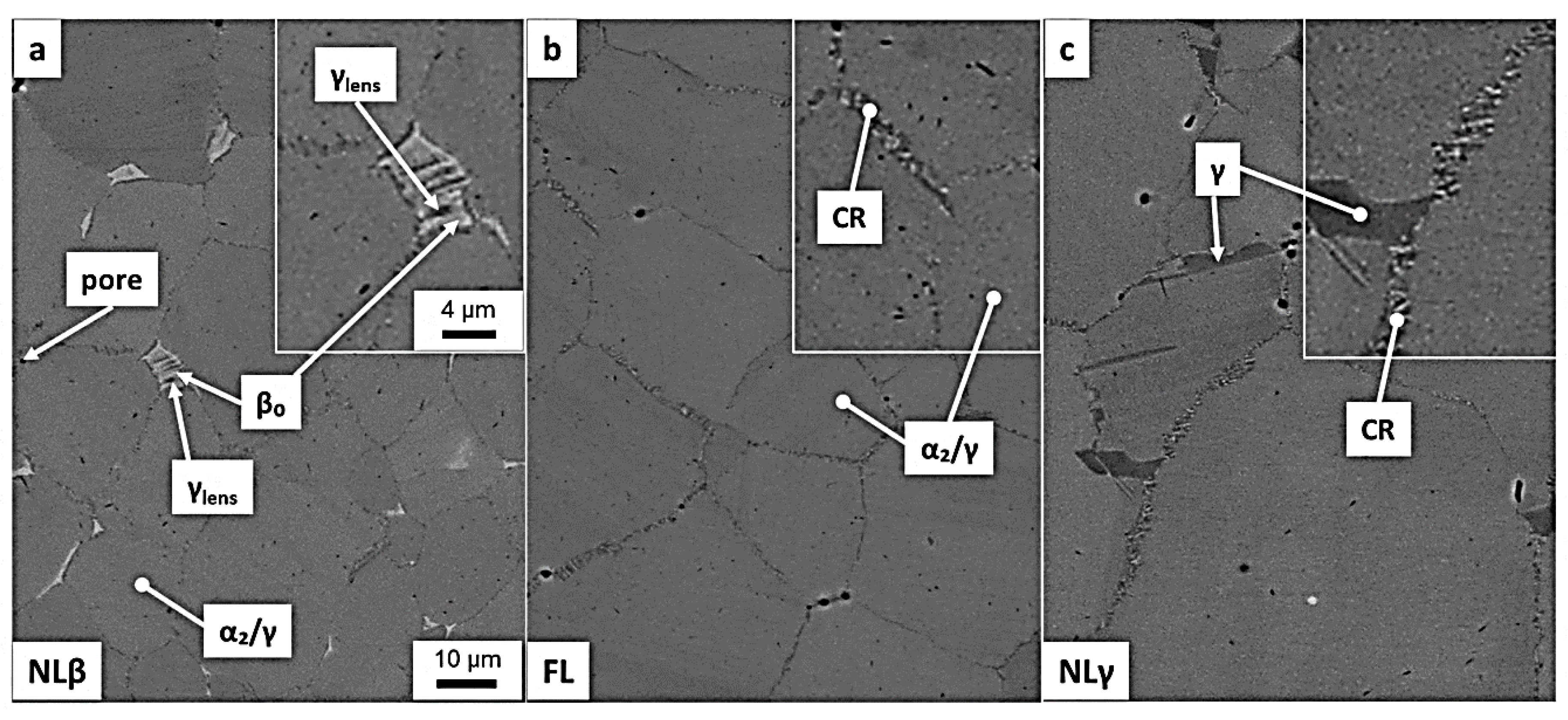 Metals 10 01080 g015