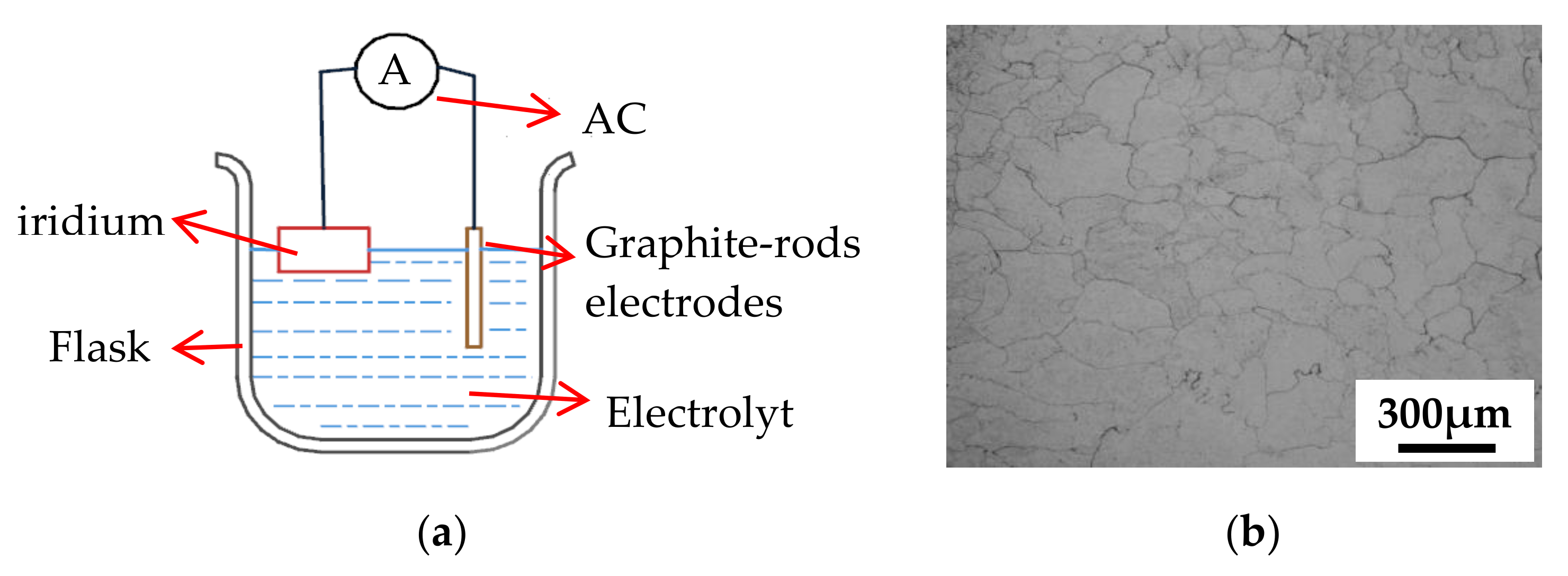 Metals 10 01087 g002