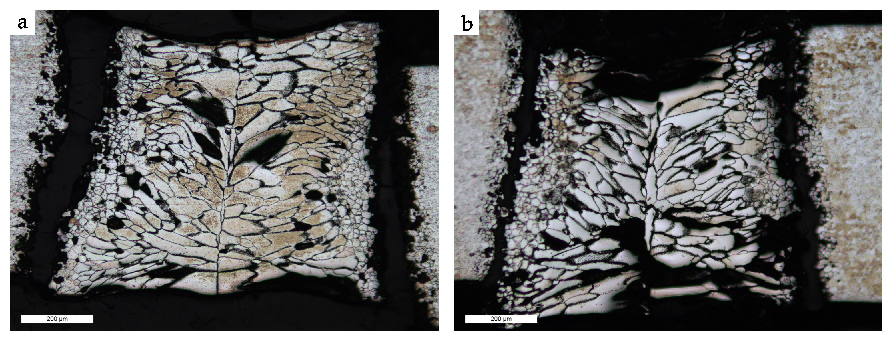 Metals 10 01088 g013