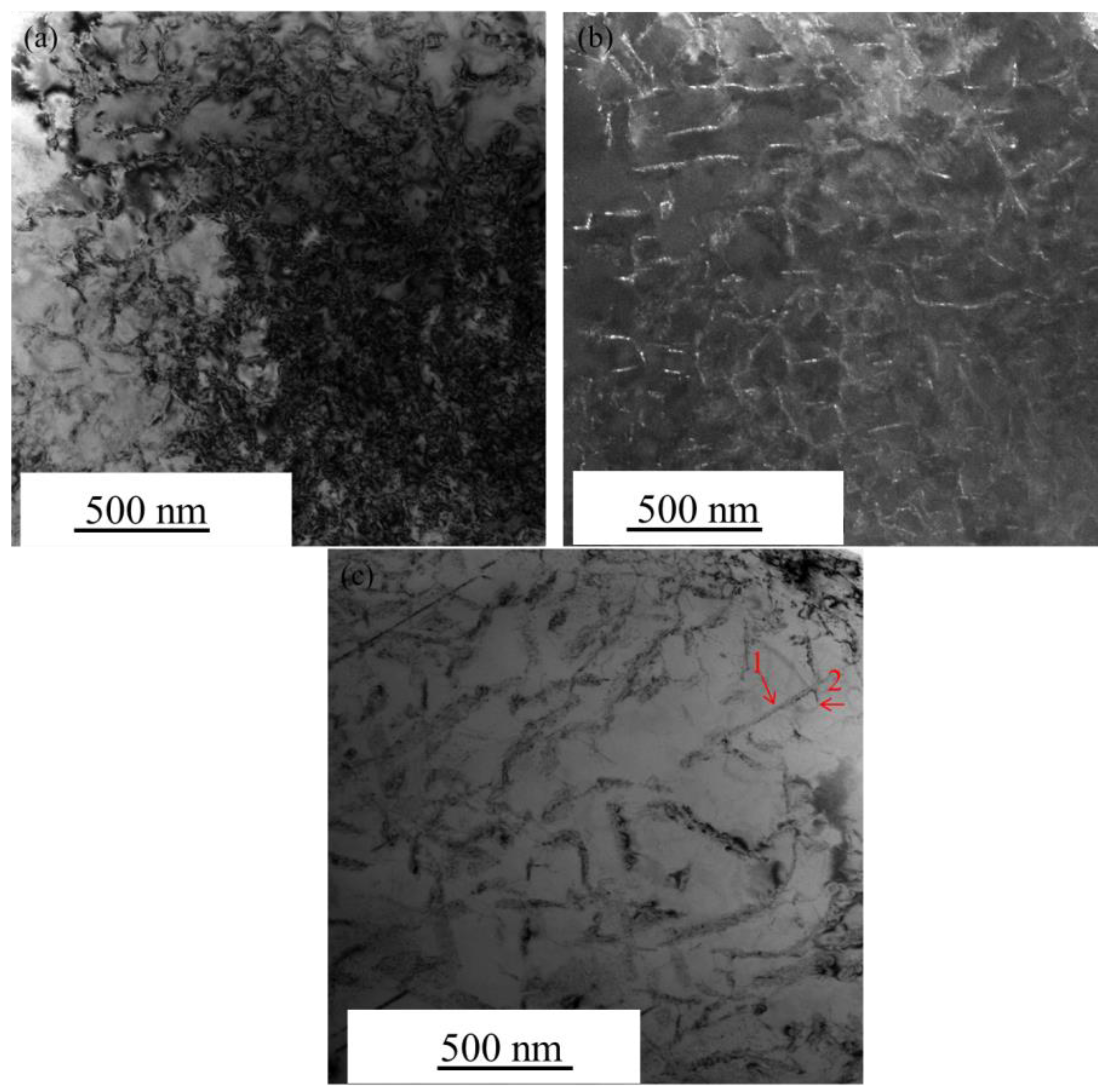 Metals 10 01093 g007