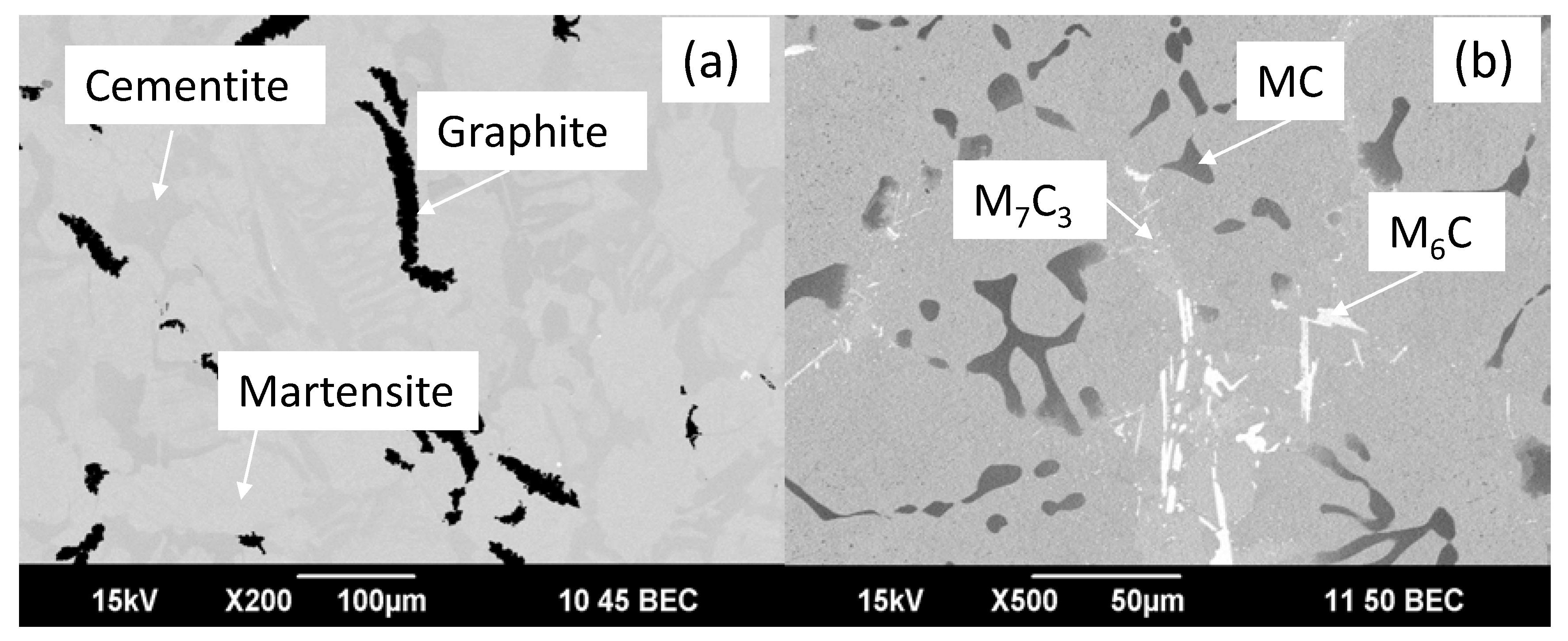 Metals 10 01095 g001 Metals 10 01095 g001