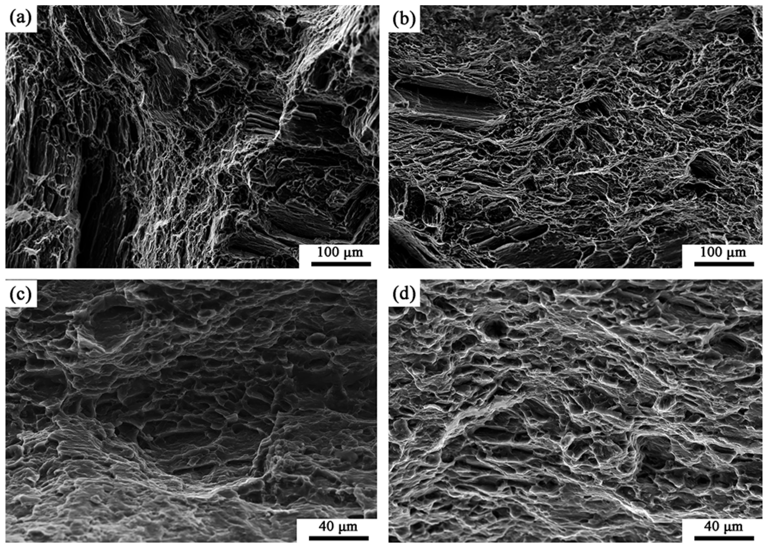 Metals 10 01102 g016