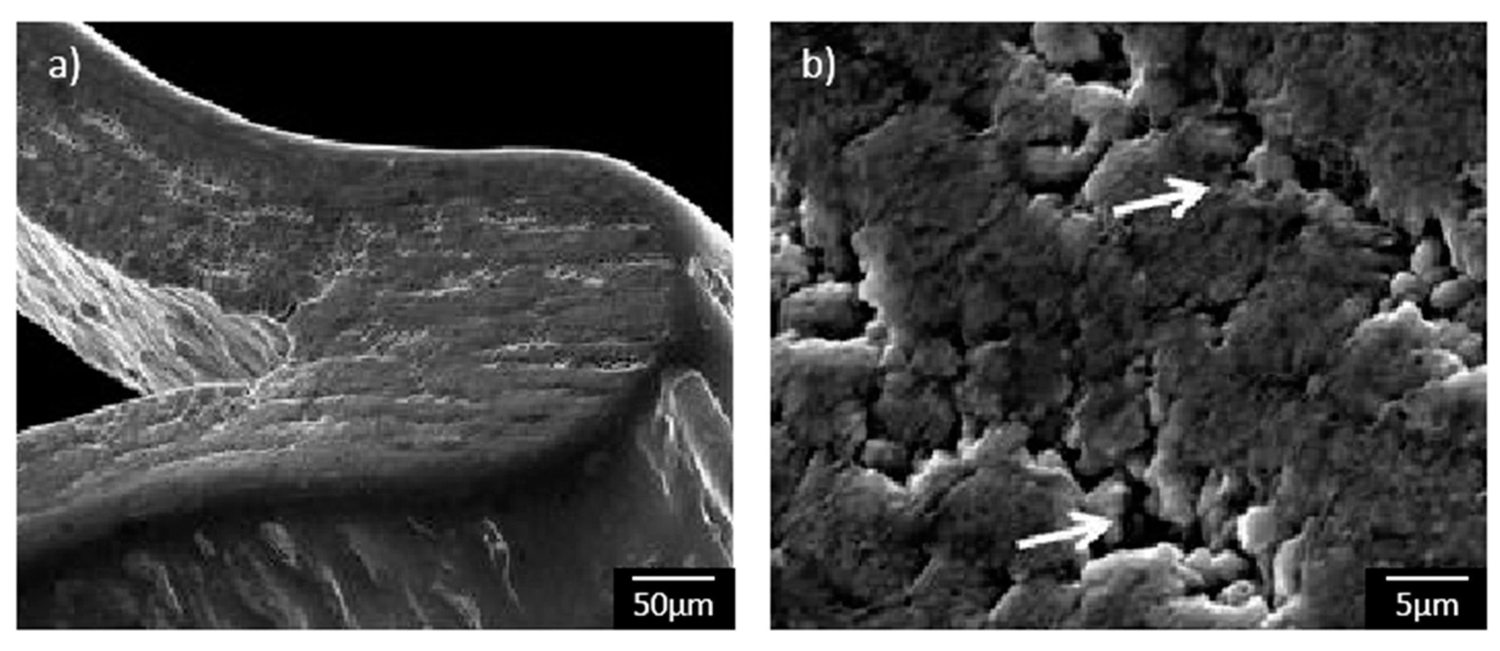 Metals 10 01112 g007 550