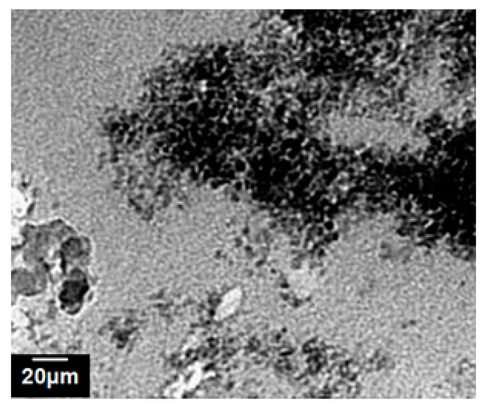 Metals 10 01112 g010 550