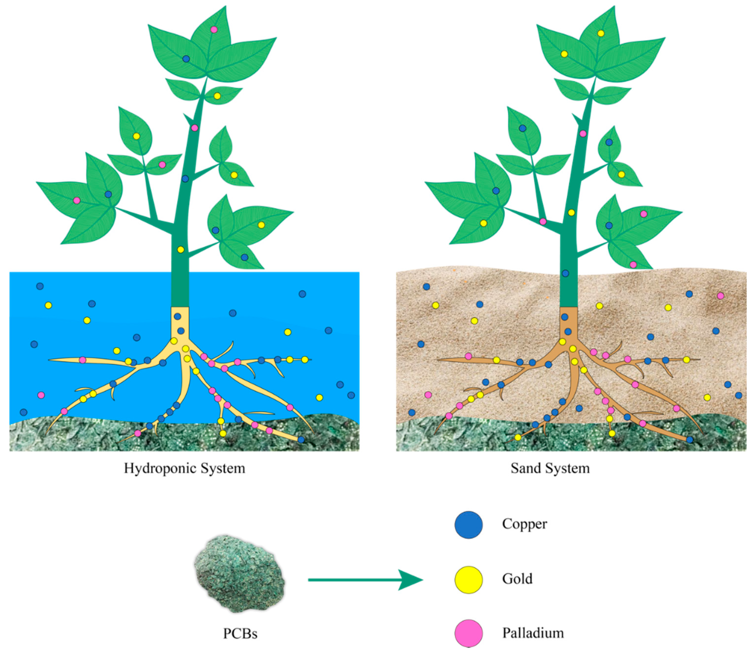 Metals 10 01120 g004 Metals 10 01120 g004