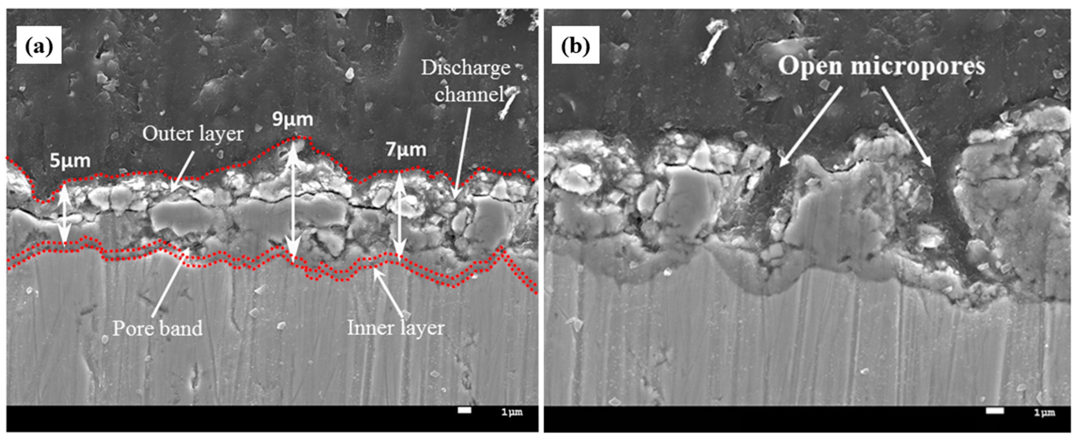 Metals 10 01124 g007