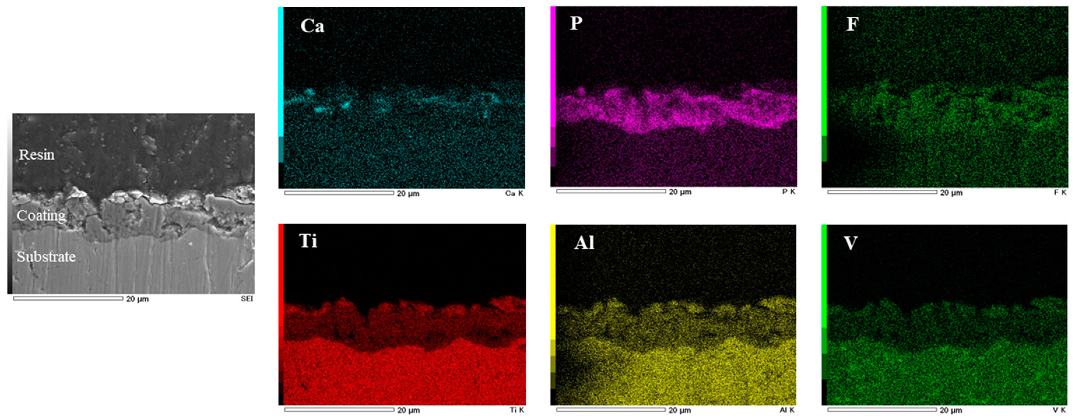 Metals 10 01124 g008
