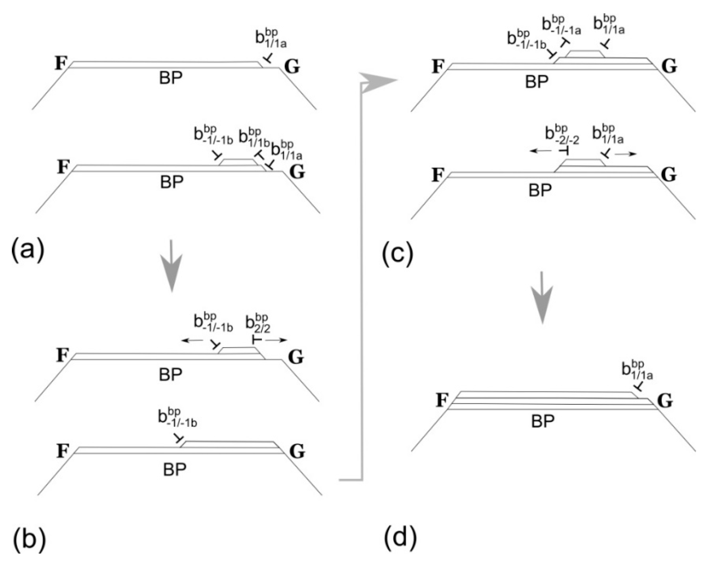 Metals 10 01134 g009 Metals 10 01134 g009