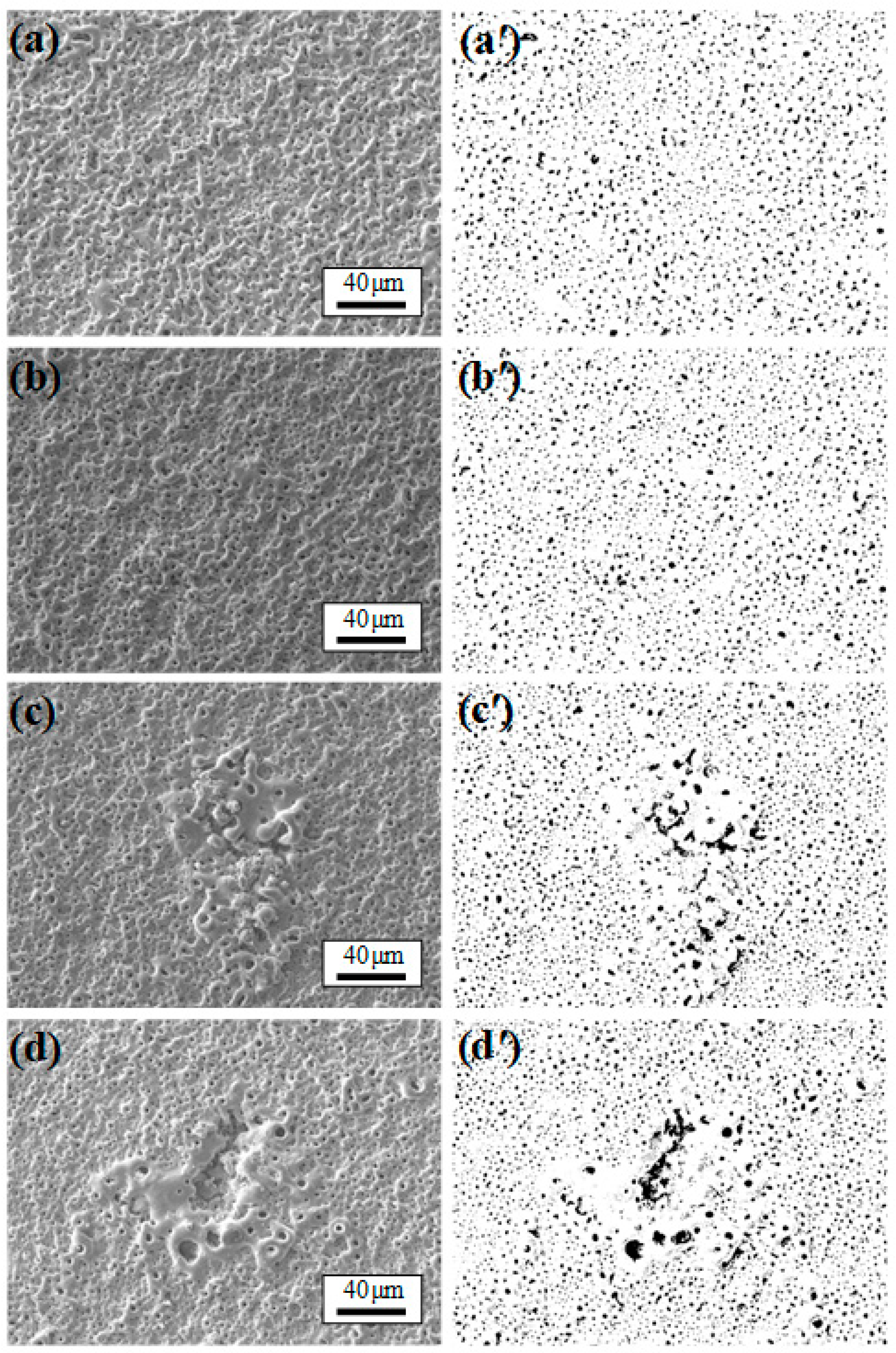 Metals Free Full Text Effect Of V2o5 Additive On Micro Arc Oxidation Coatings Fabricated On Magnesium Alloys With Different Loading Voltages Html