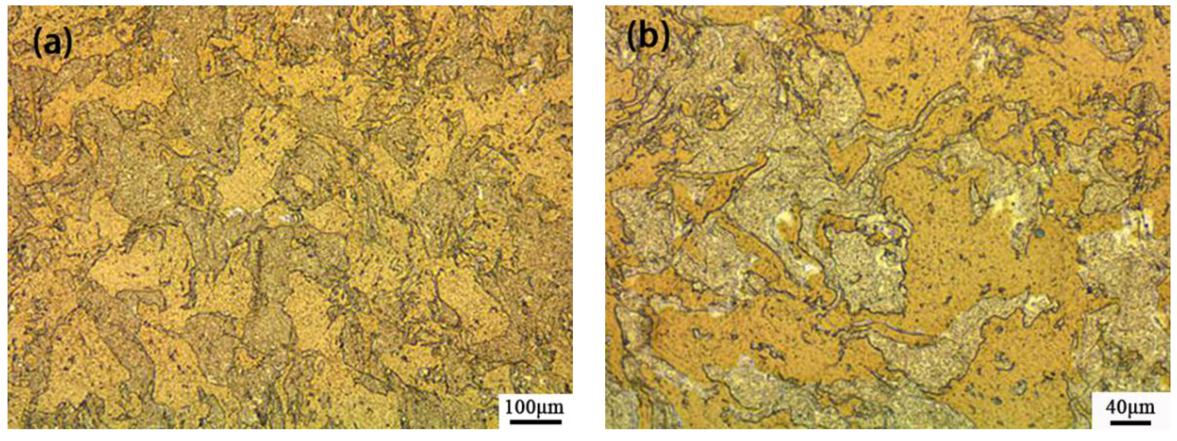 Metals 10 01153 g001