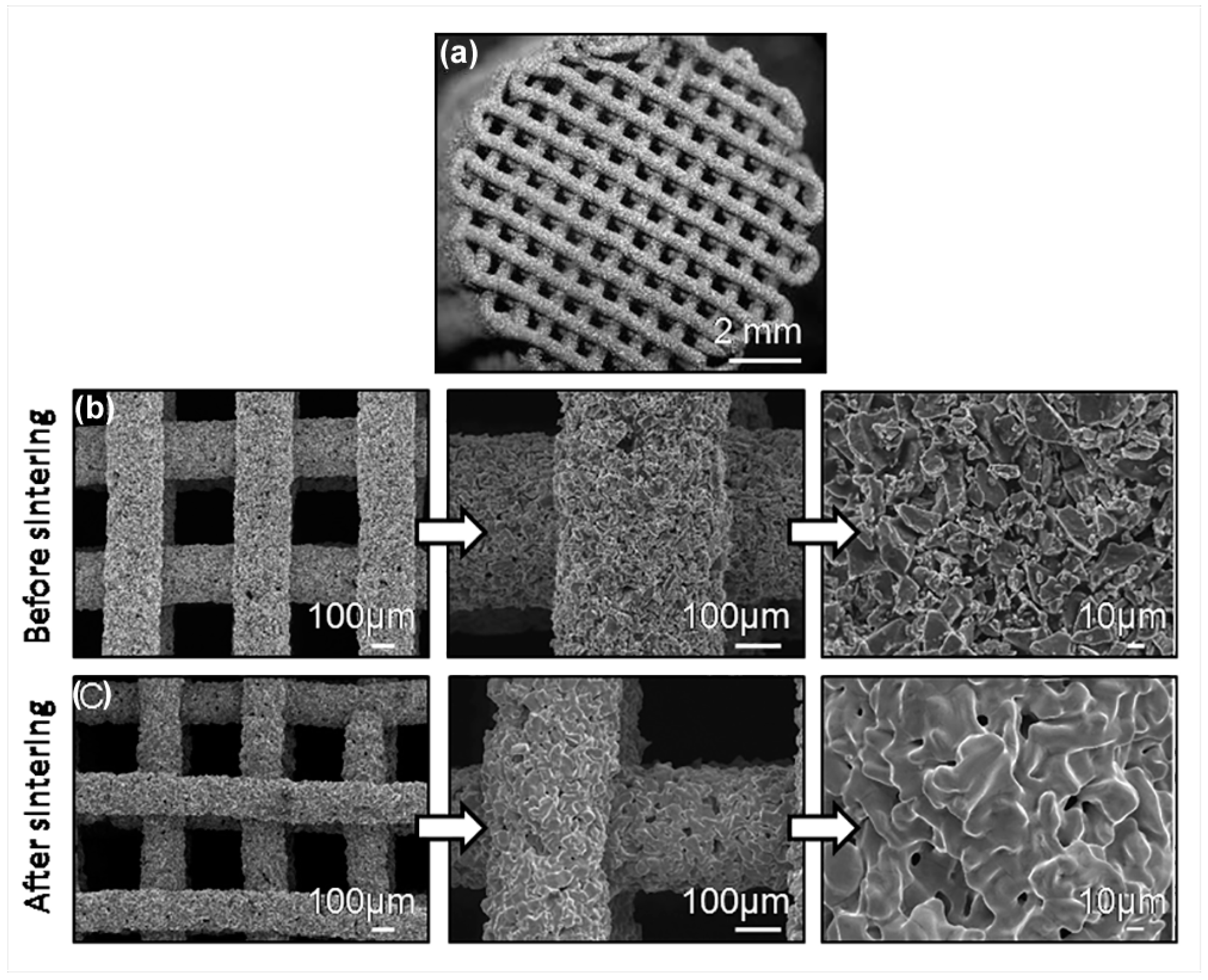 Metals 10 01156 g004