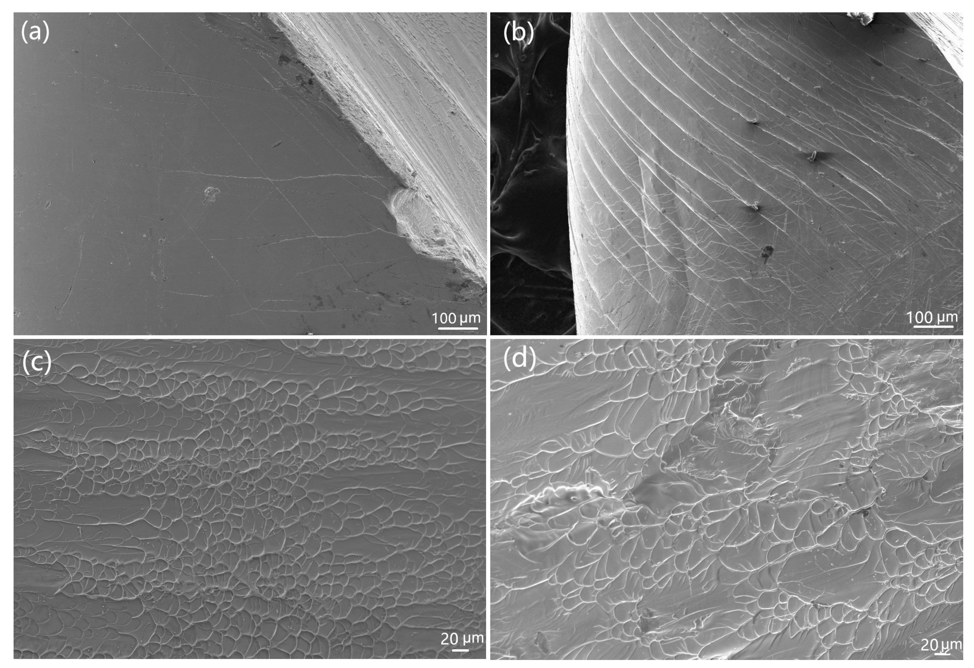 Metals 10 01158 g003 Metals 10 01158 g003