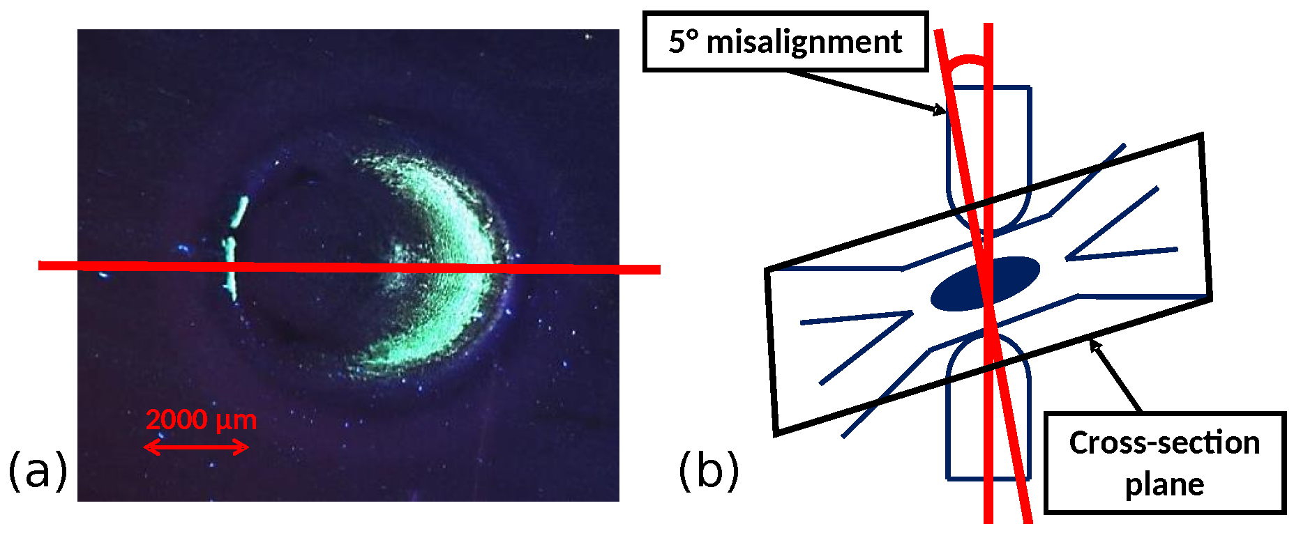 Metals 10 01166 g004