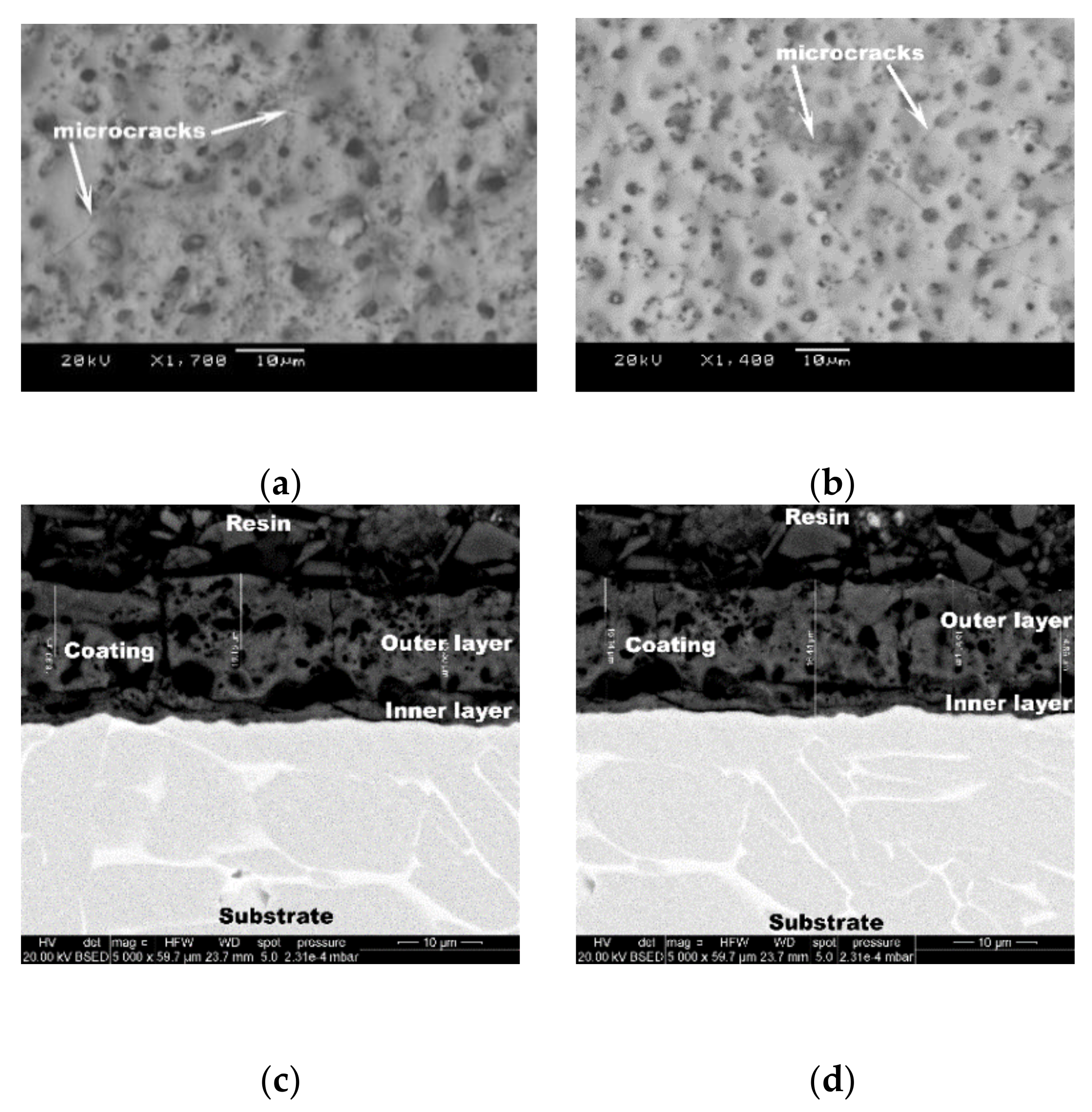 Metals 10 01167 g002
