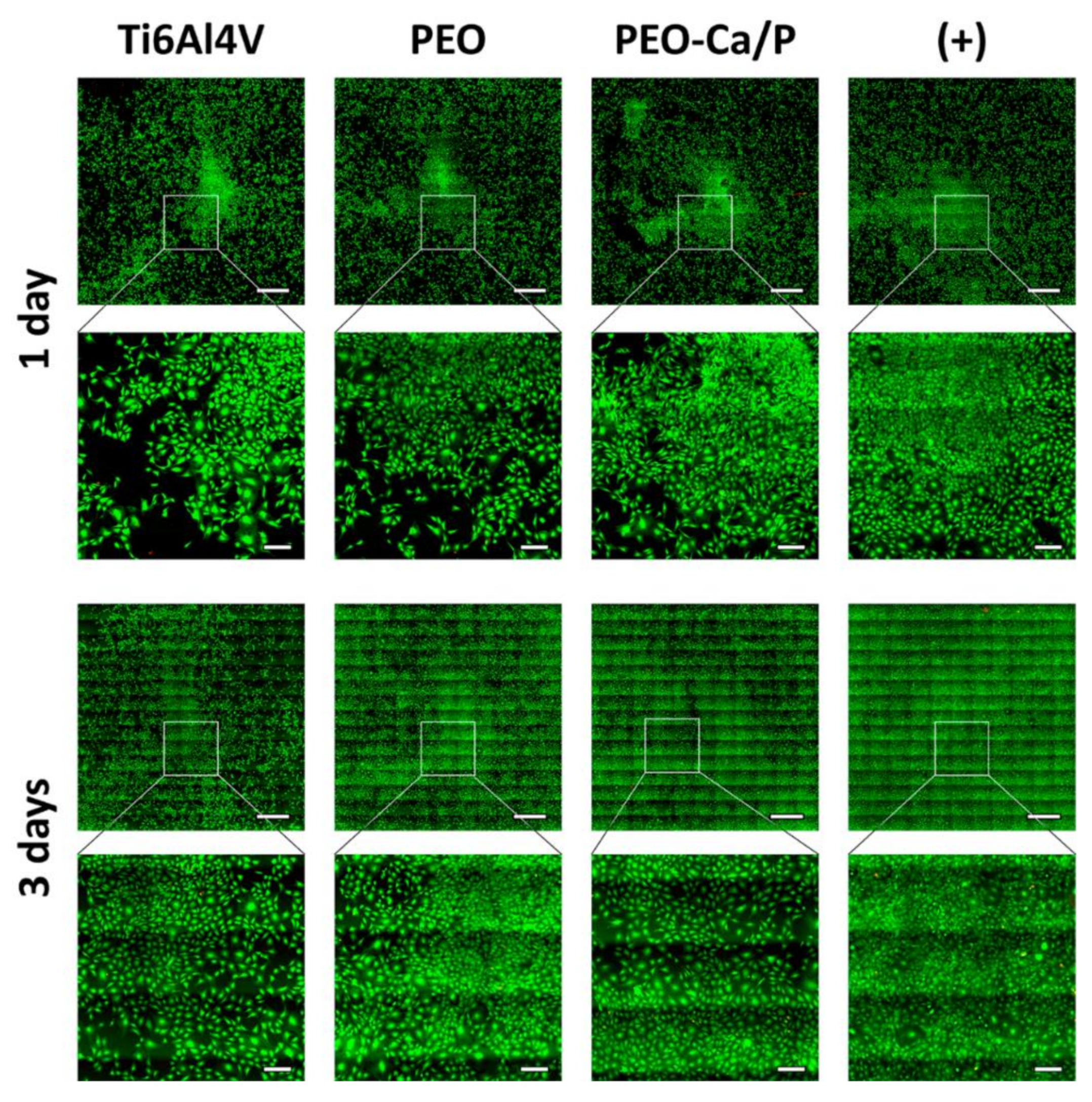 Metals 10 01167 g007