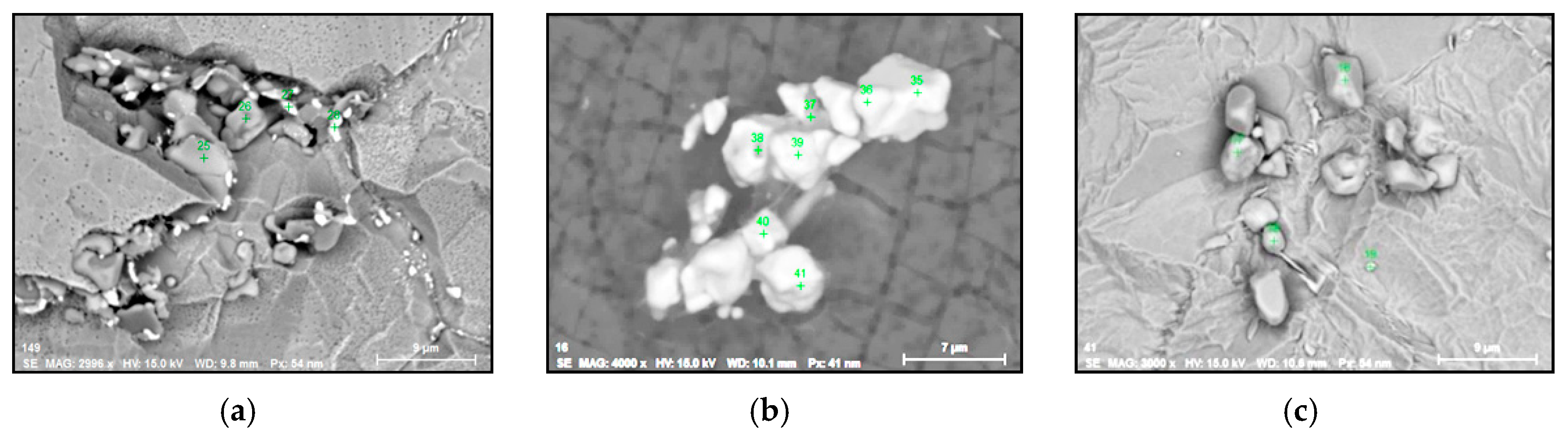 Metals 10 01177 g002