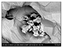 Metals 10 01177 i006