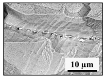 Metals 10 01177 i008