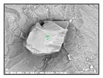 Metals 10 01177 i010