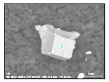 Metals 10 01177 i011