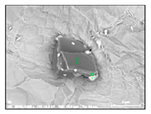 Metals 10 01177 i012