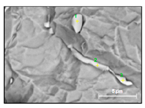 Metals 10 01177 i014