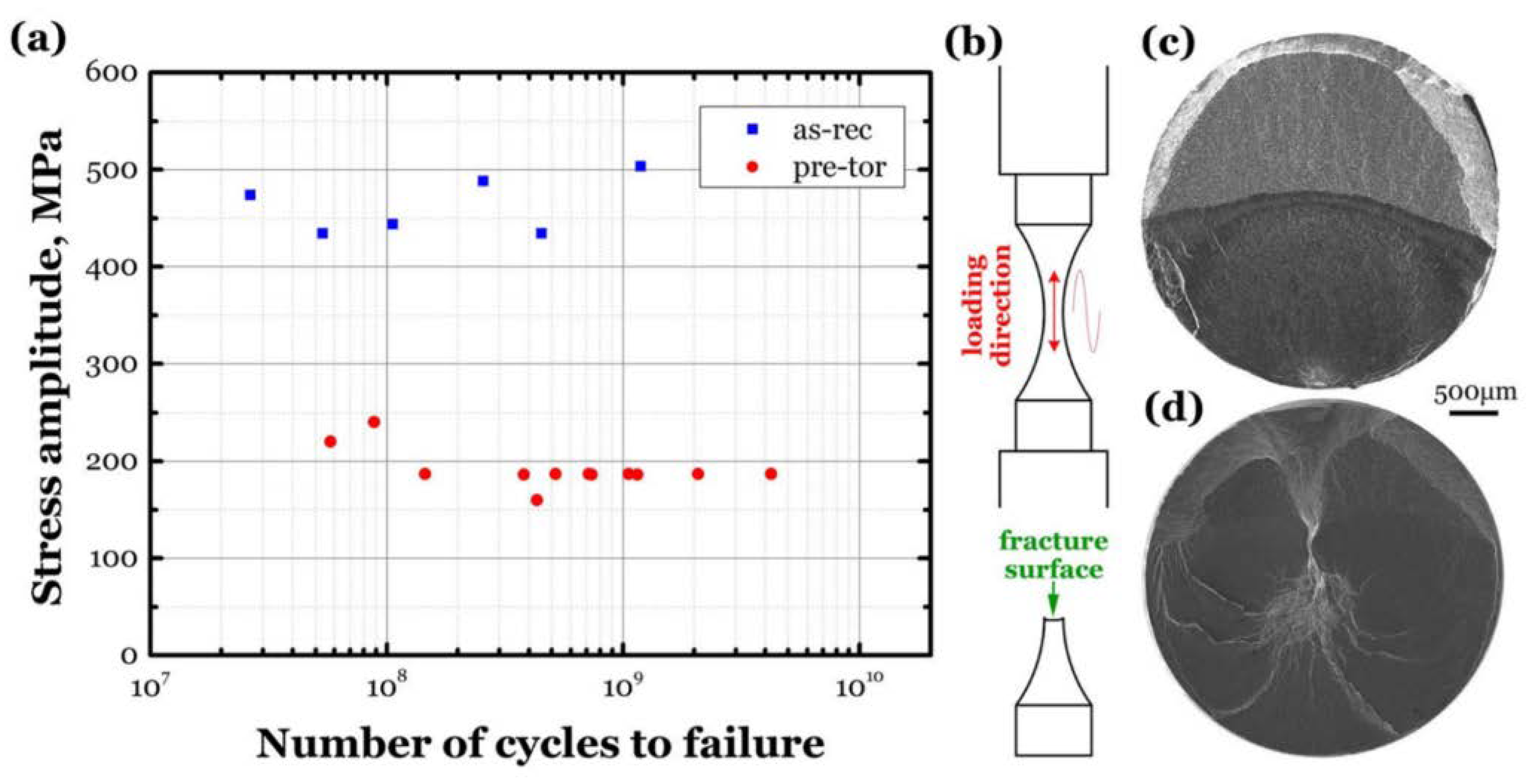 Metals 10 01200 g011