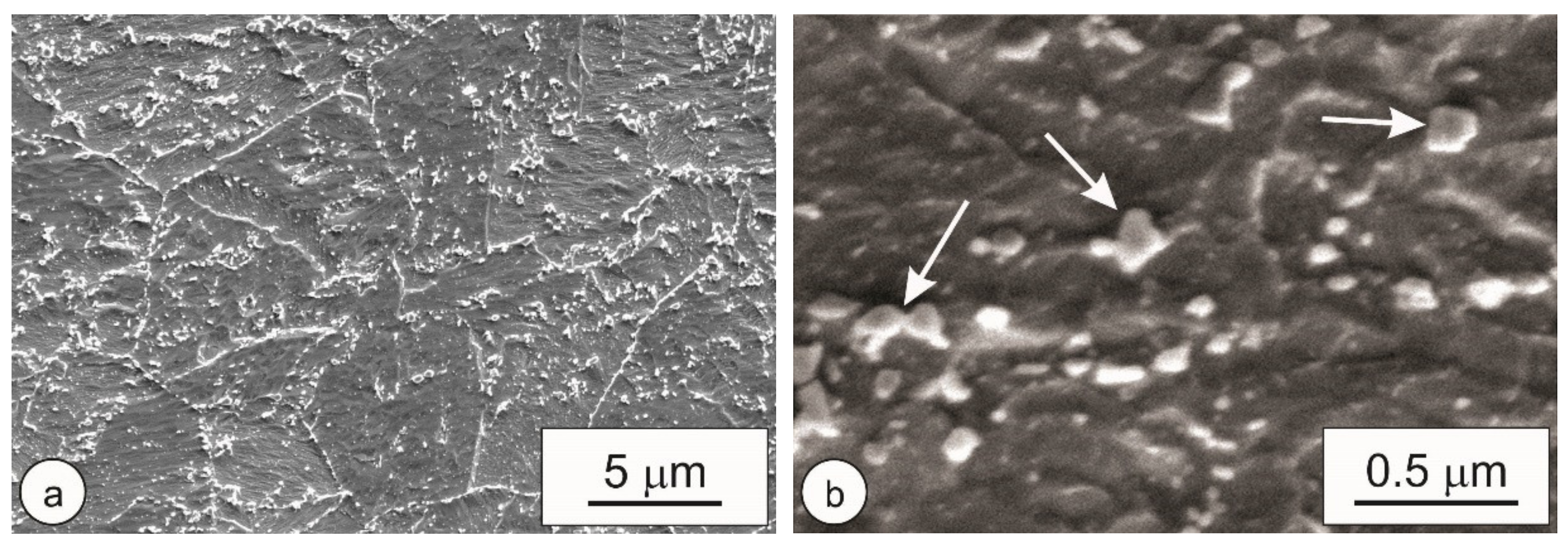 Metals 10 01215 g014 Metals 10 01215 g014