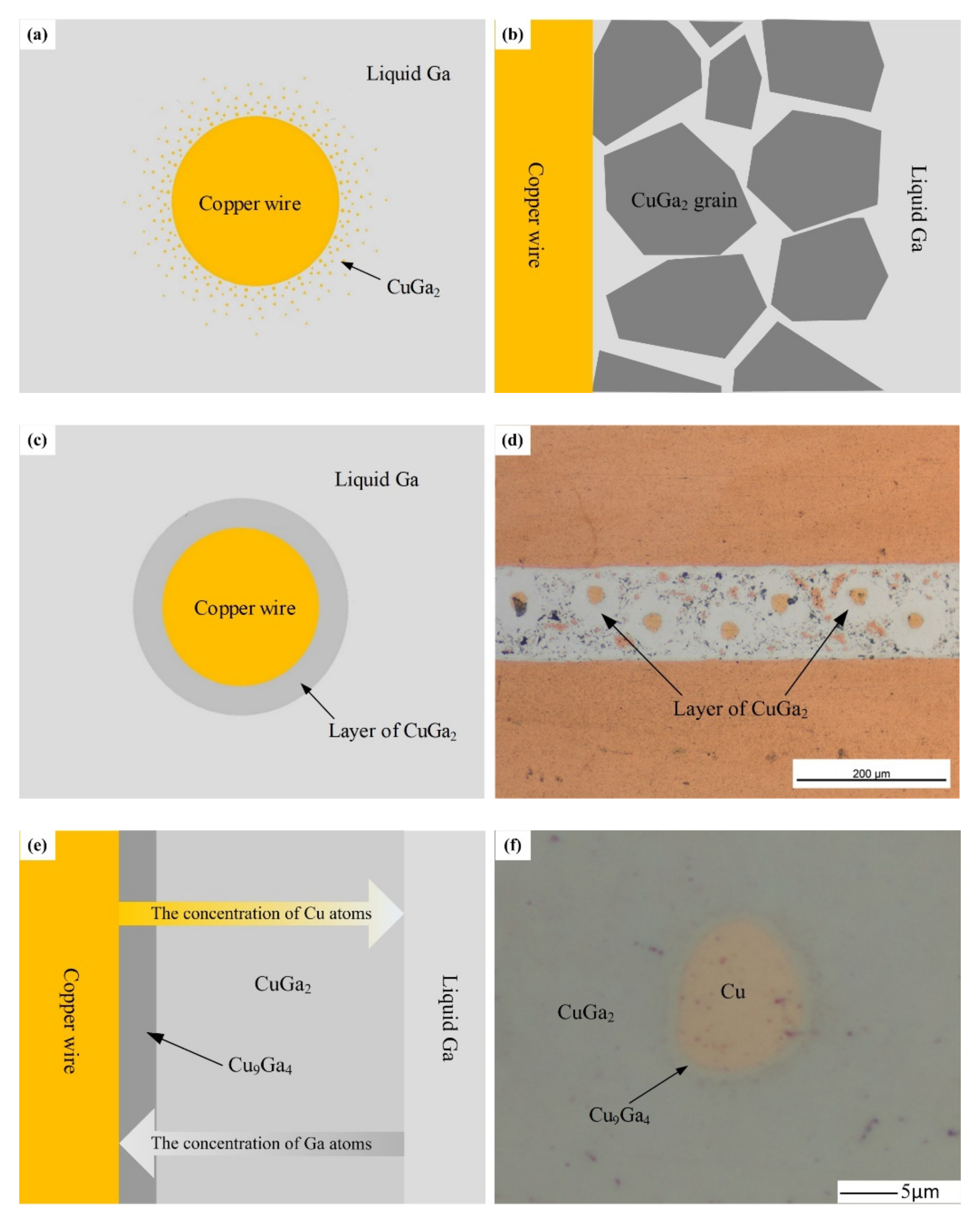 Metals 10 01223 g010