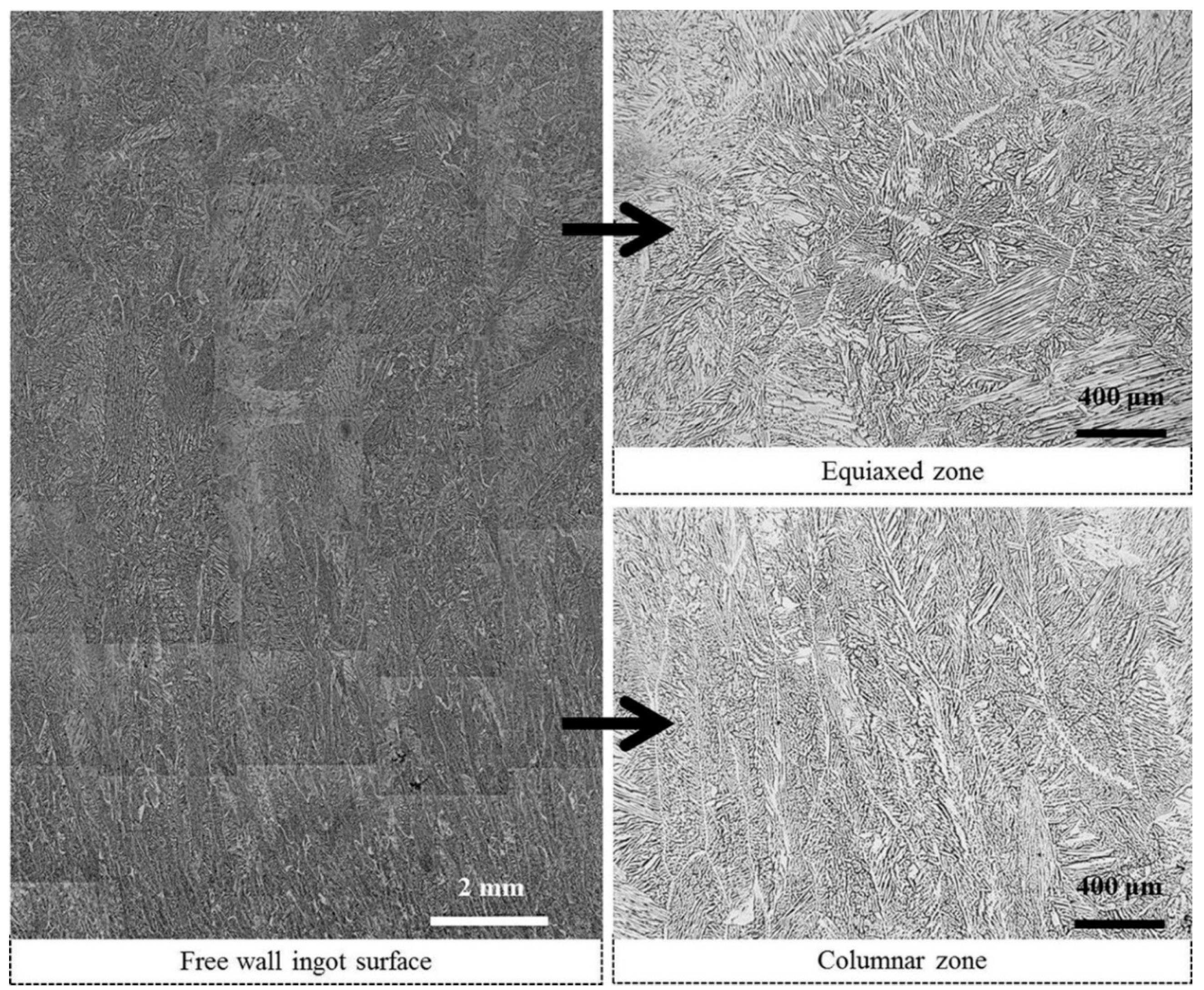 Metals 10 01230 g004