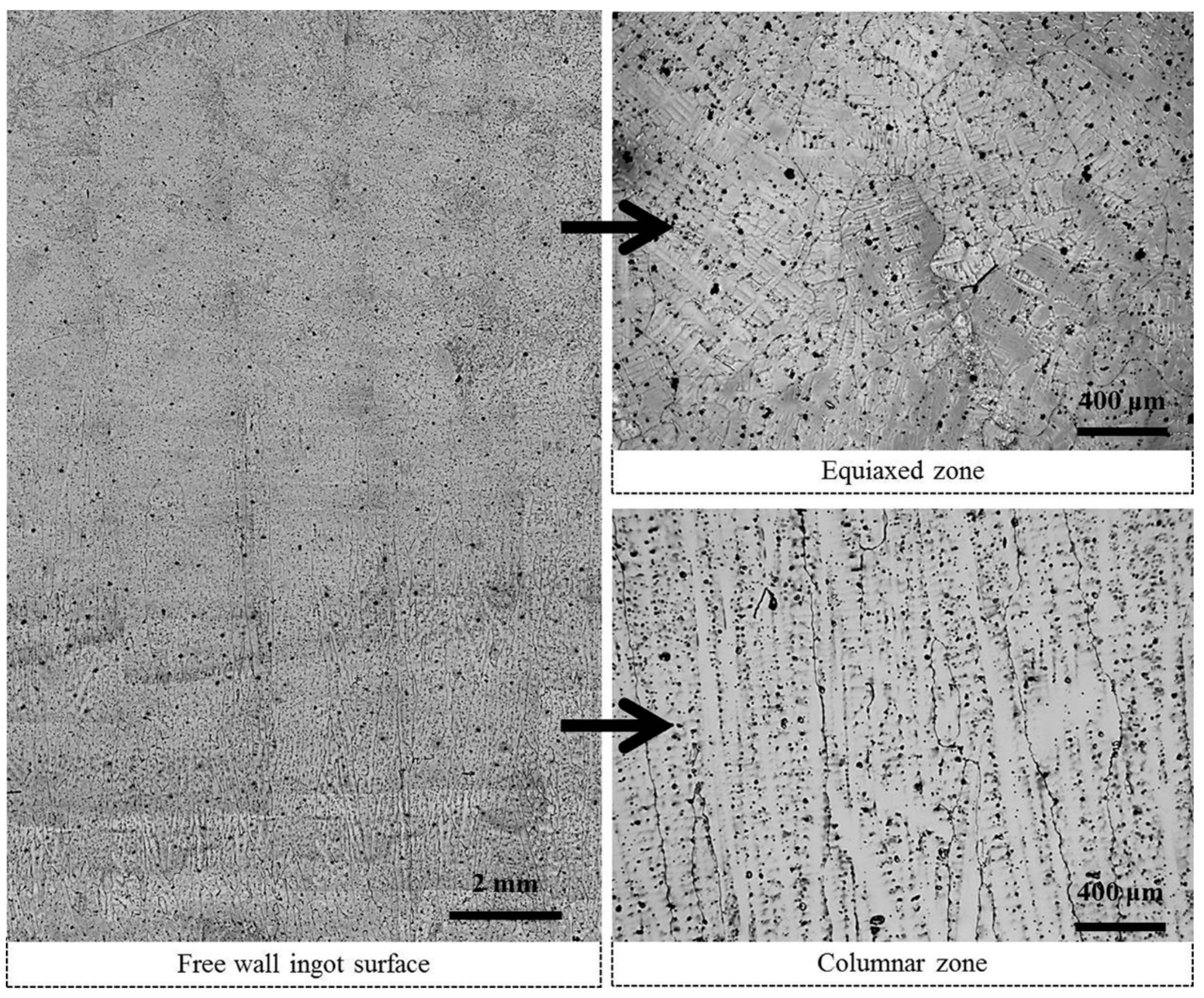 Metals 10 01230 g007
