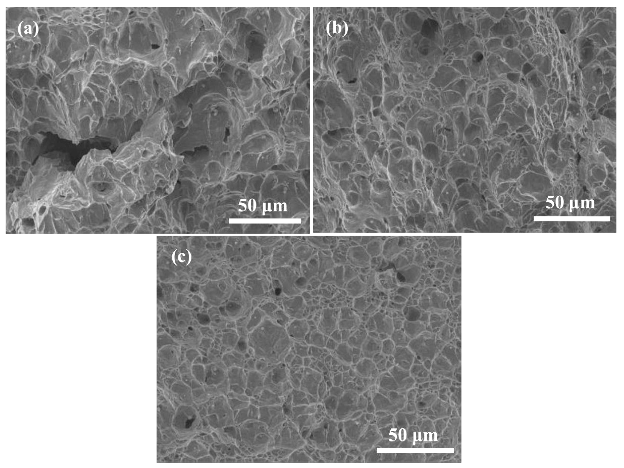 Metals 10 01233 g009