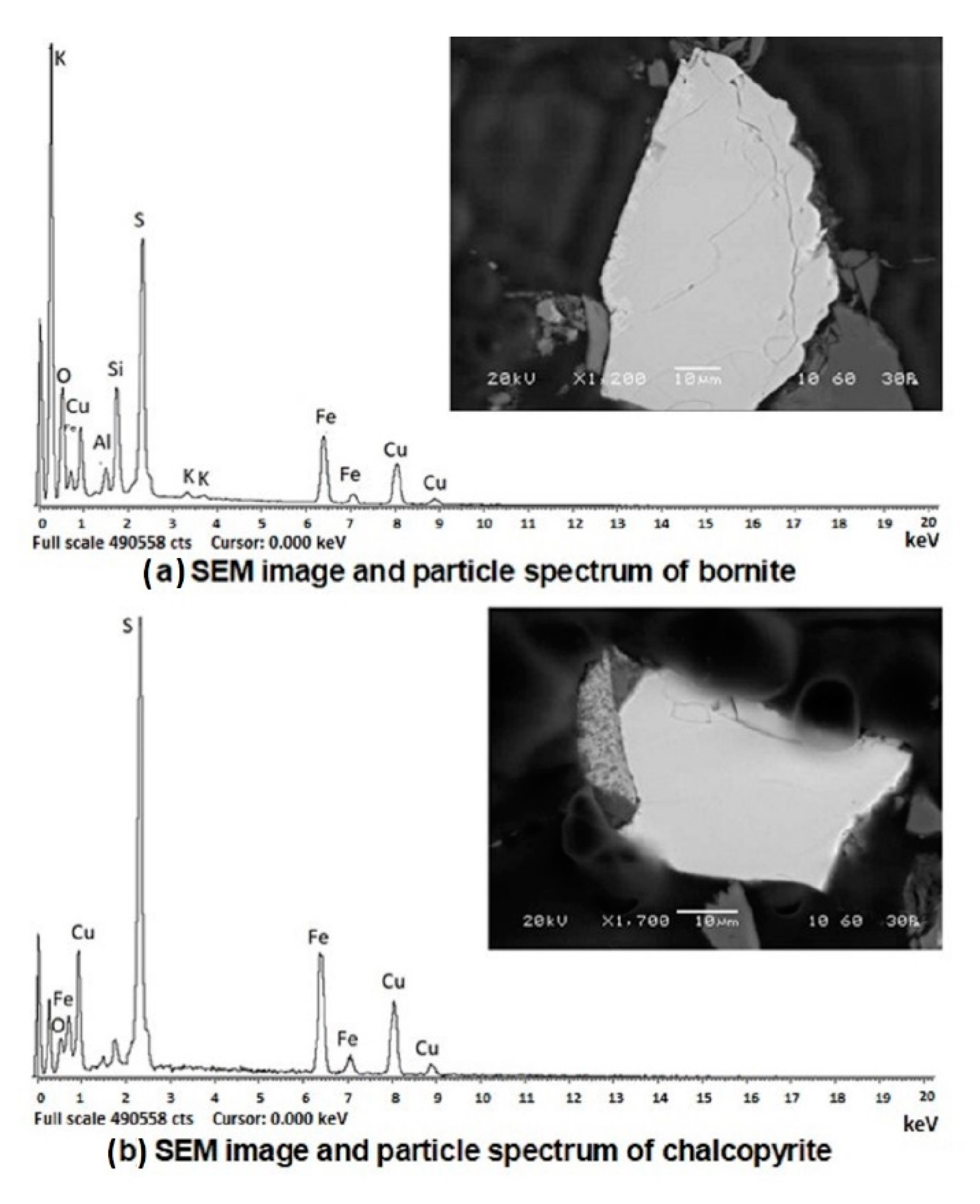 Metals 10 01242 g002