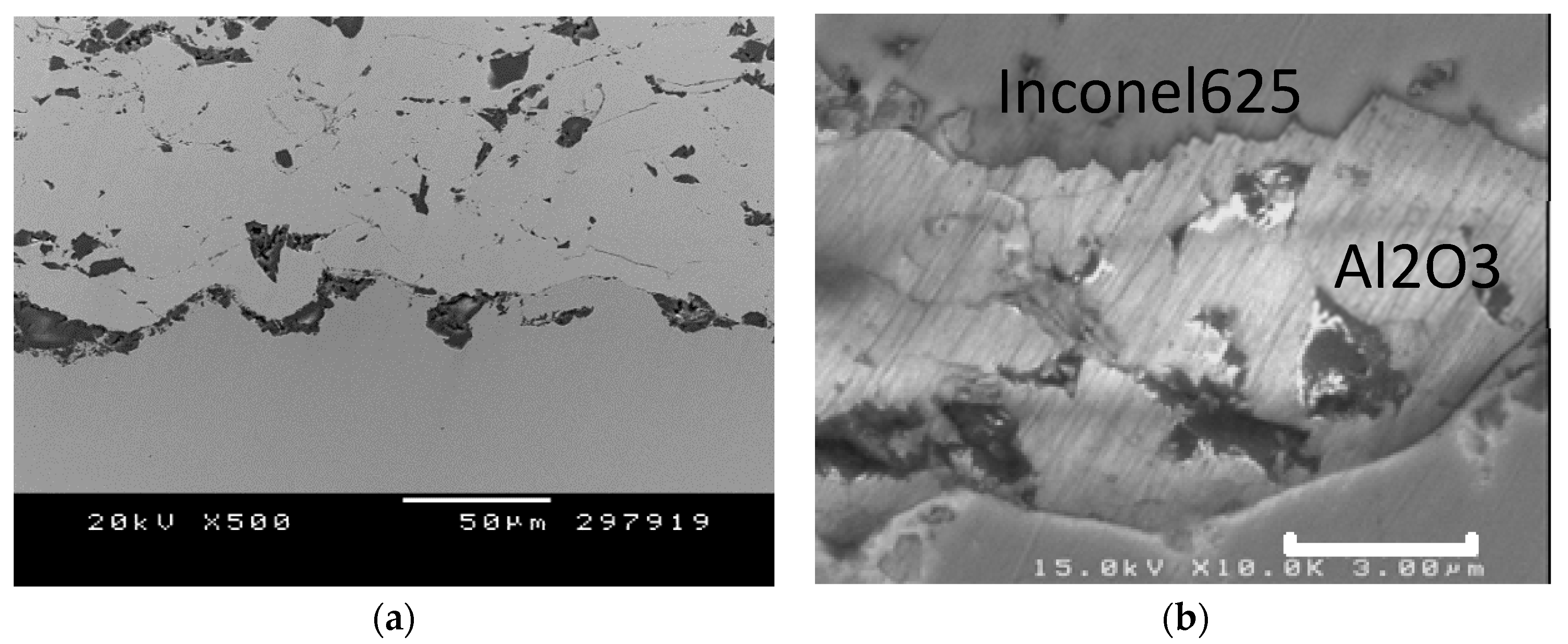 Metals 10 01263 g003