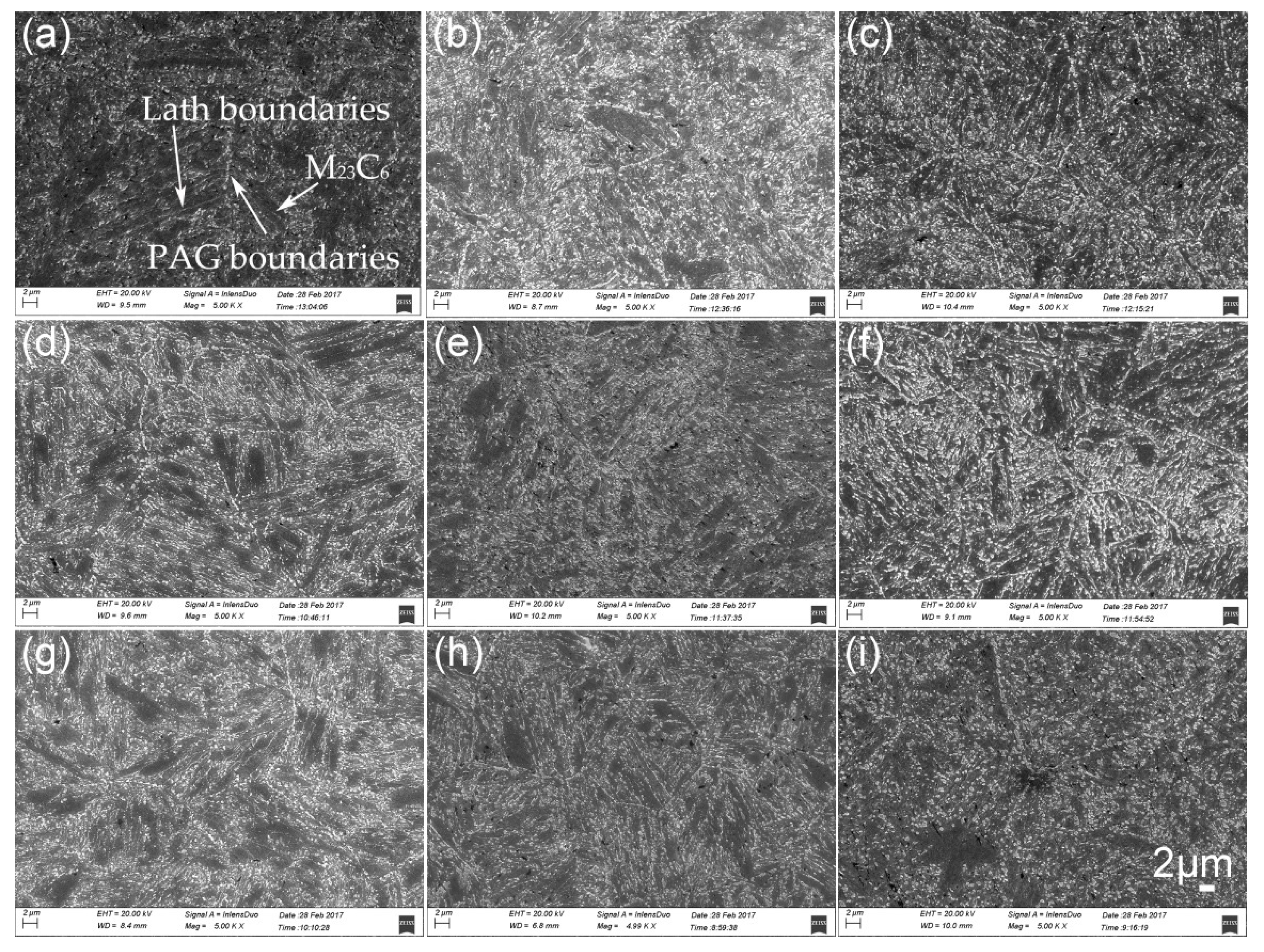 Metals 10 01271 g008