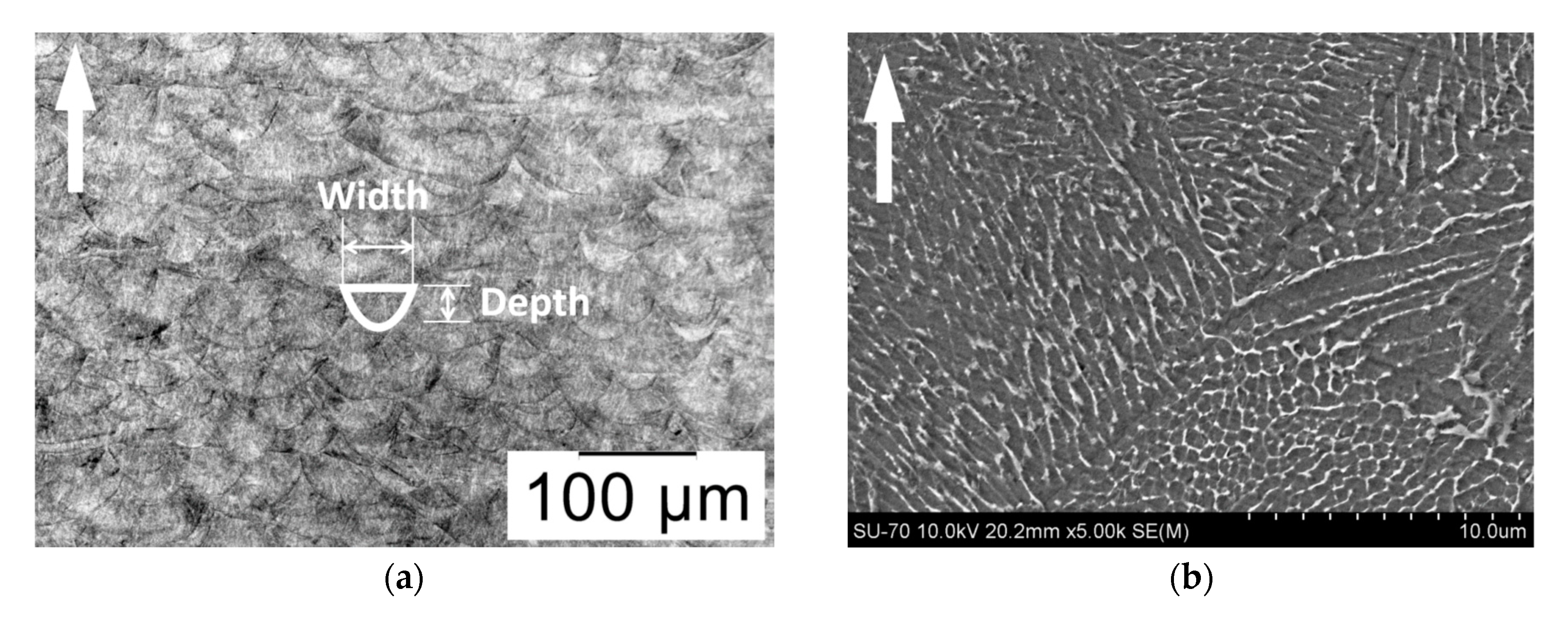 Metals 10 01273 g004