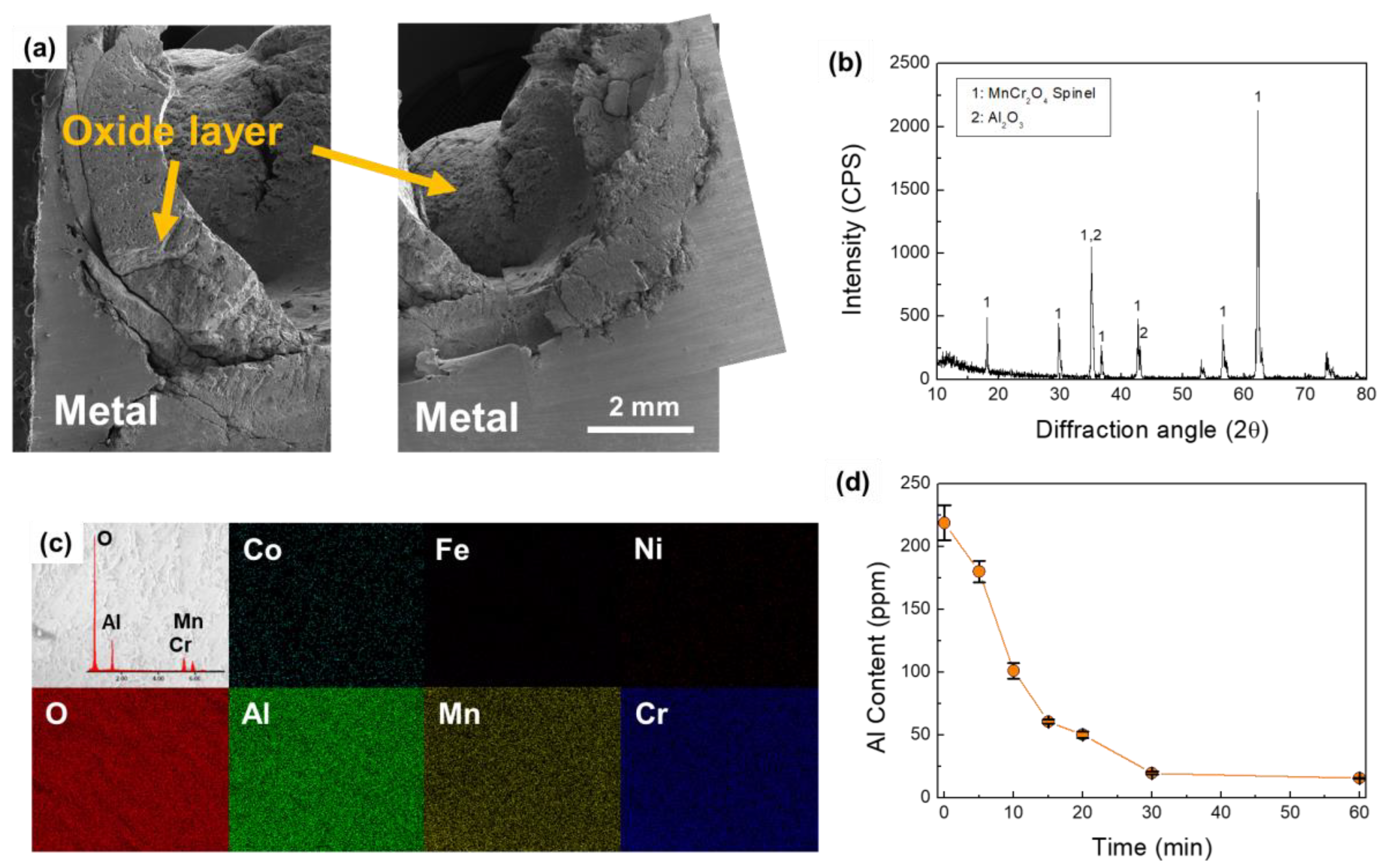 Metals 10 01286 g003