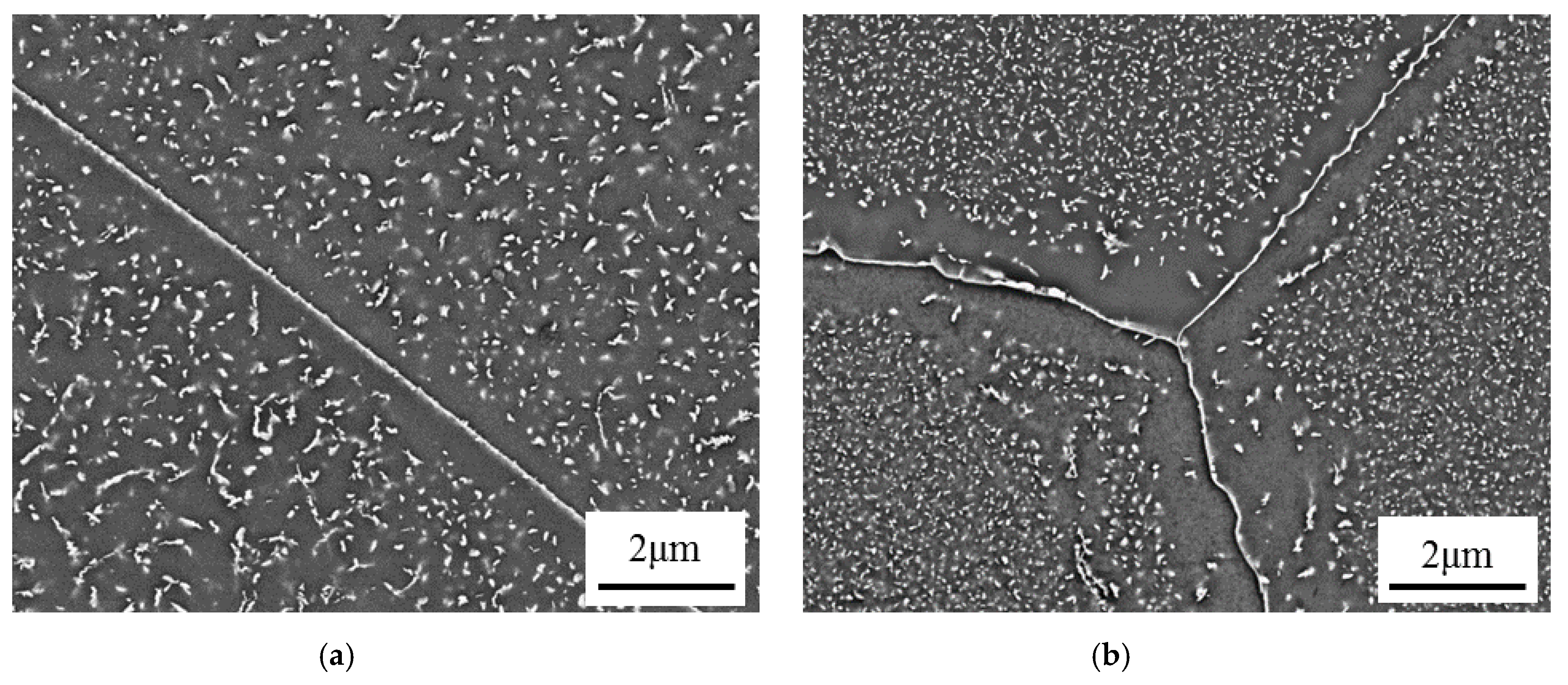 Metals 10 01300 g002a