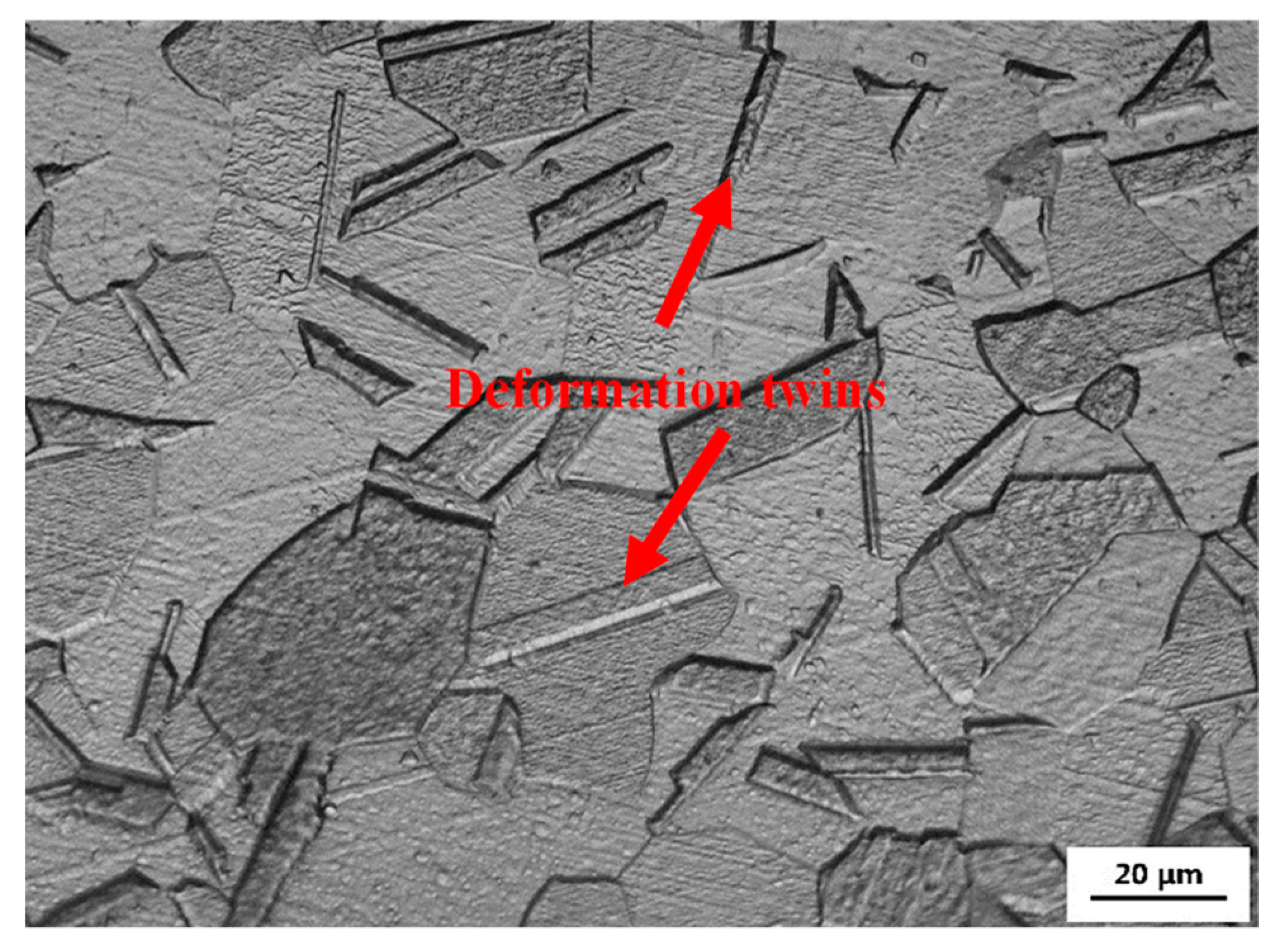 Metals 10 01304 g001