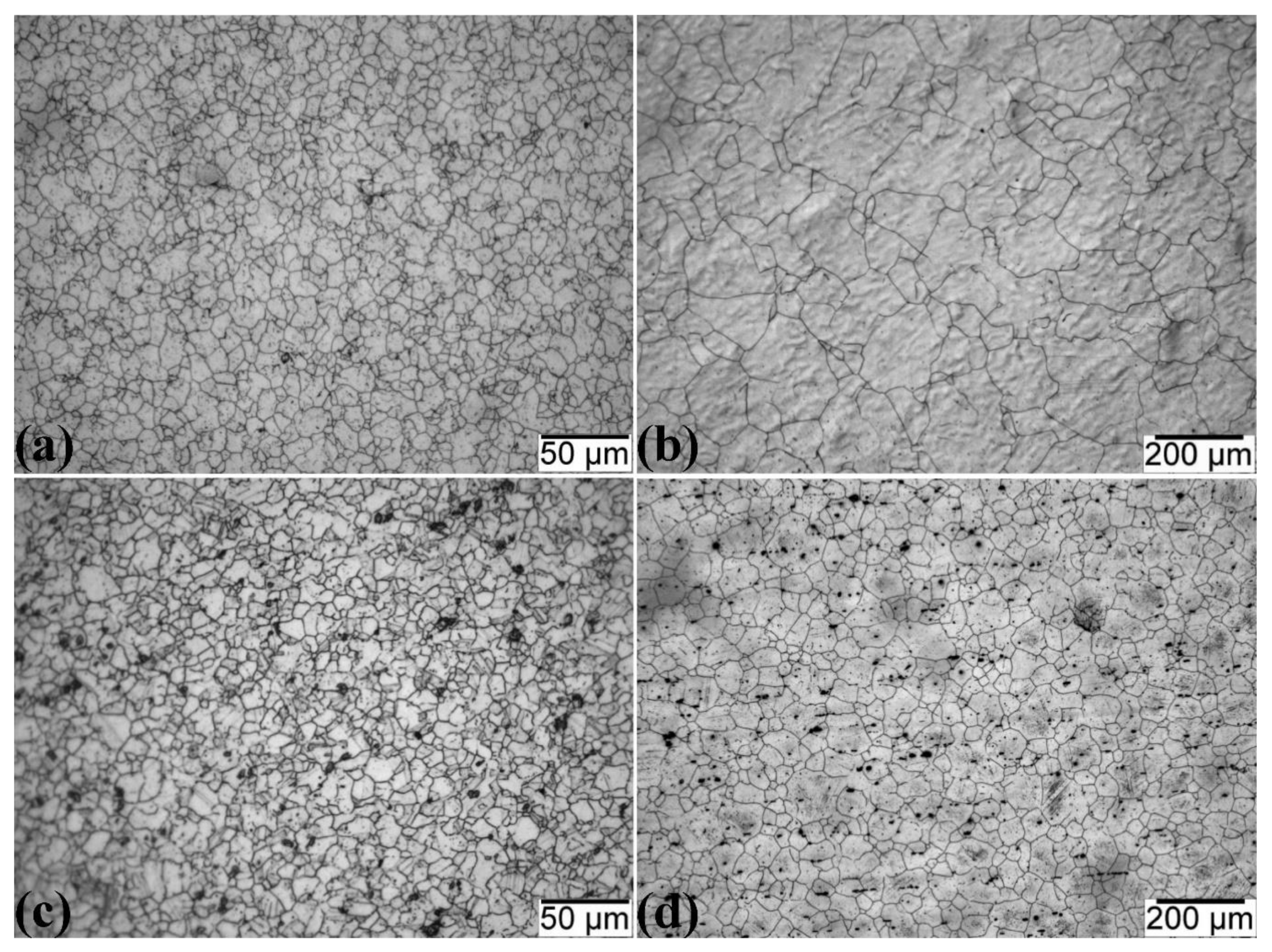 Metals 10 01311 g003