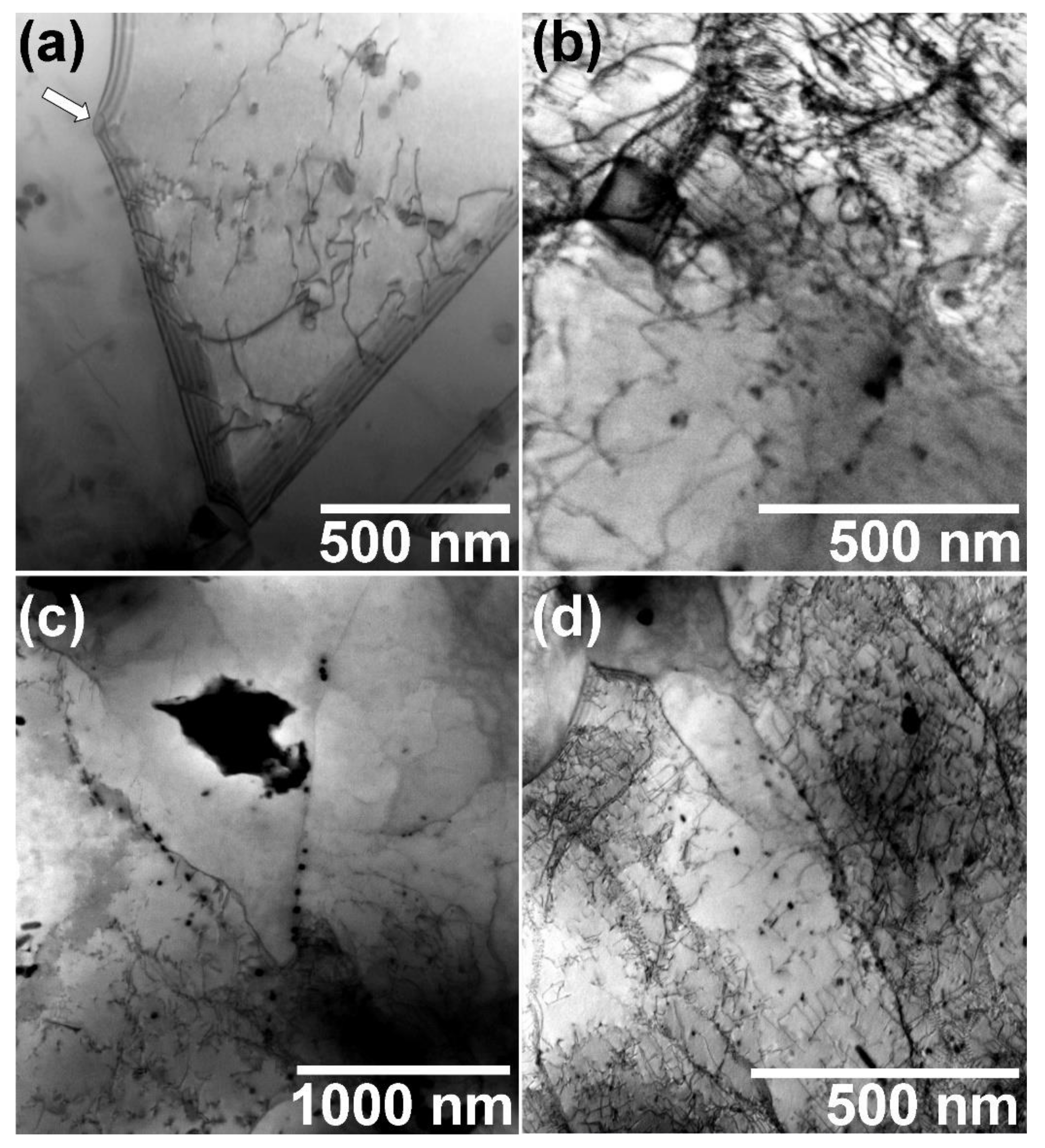 Metals 10 01311 g010